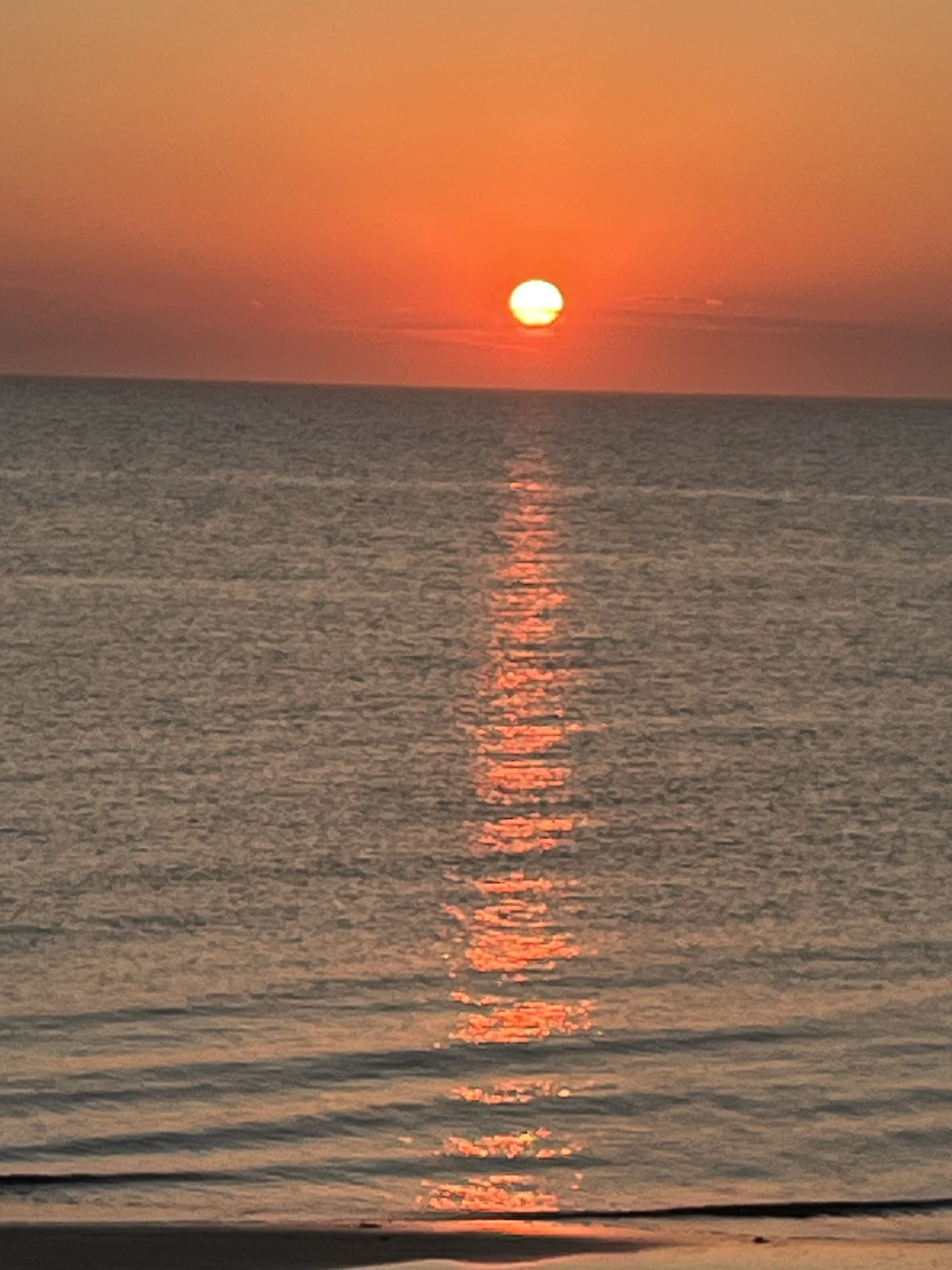 The Fifth Mindfulness Training:  An Abundance of Riches