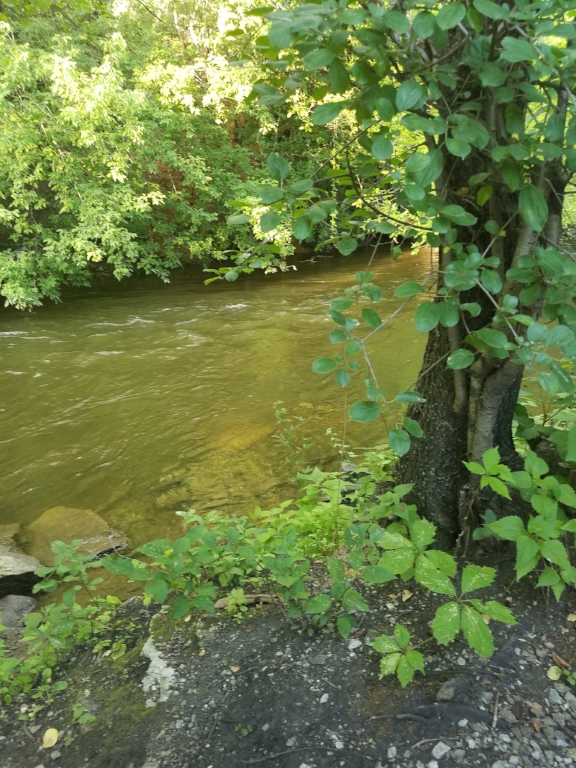 Beautiful new secret spot near my house that I discovered with my sister.