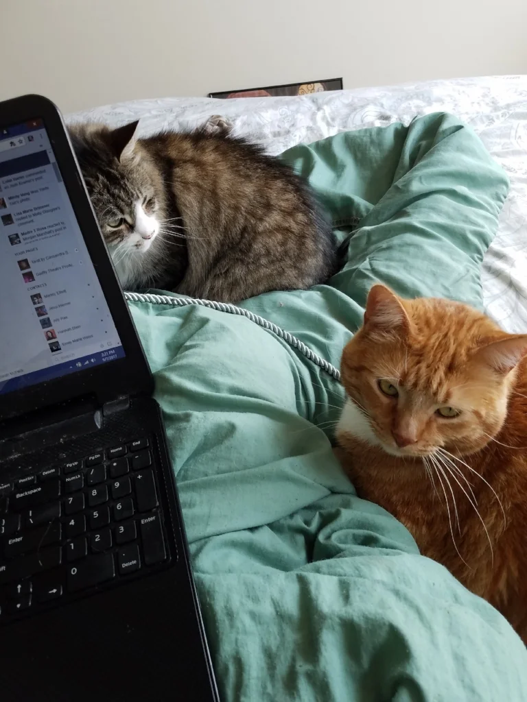I can't believe I was losing 90 mins a day with these guys to Facebook. Which, hilariously, is also featured in this photo.