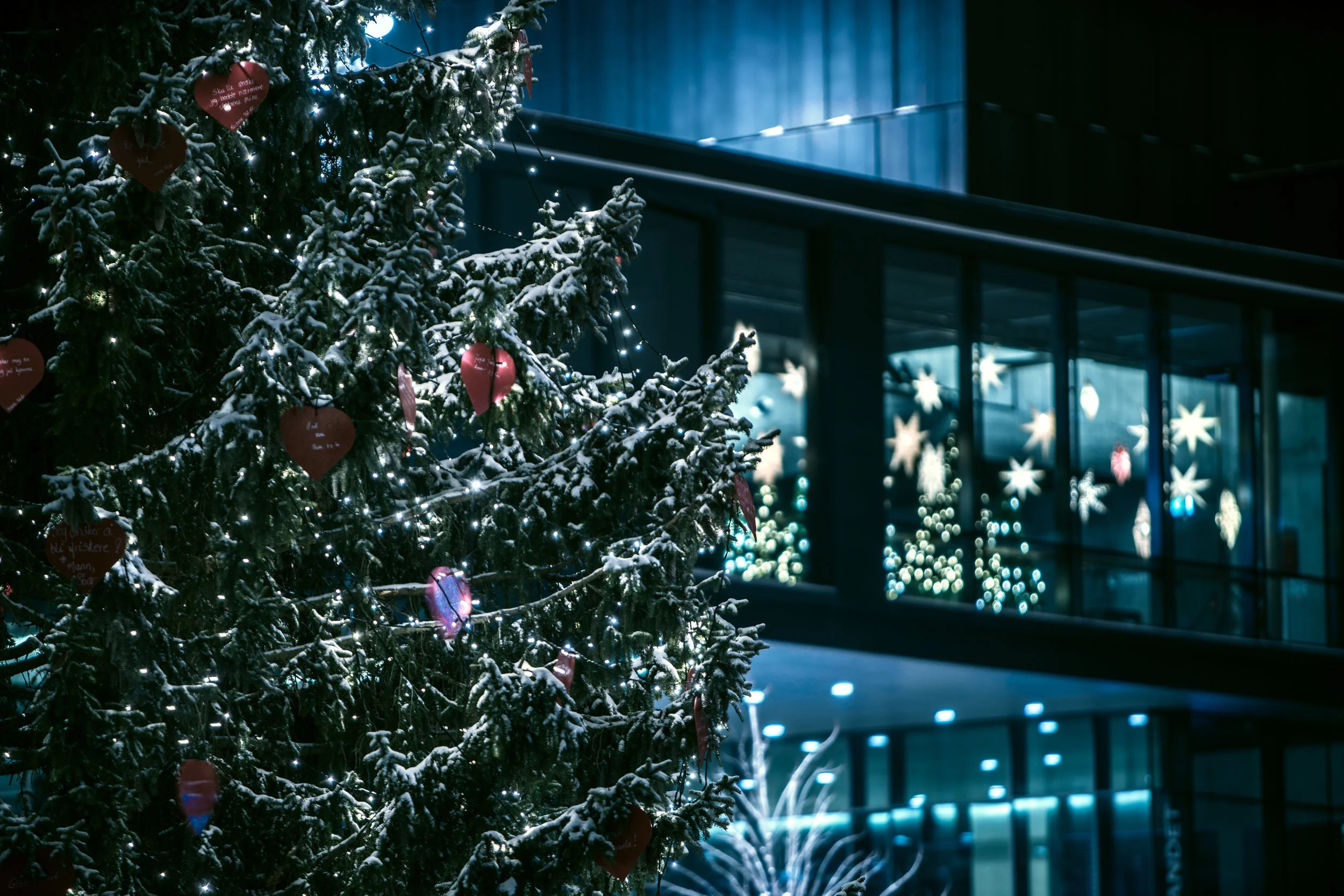 Not my own photo! Provided by Unsplash through Squarespace.