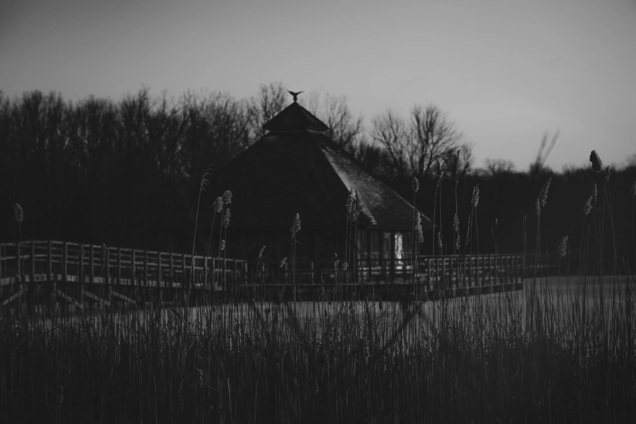 IMG_2409.jpg