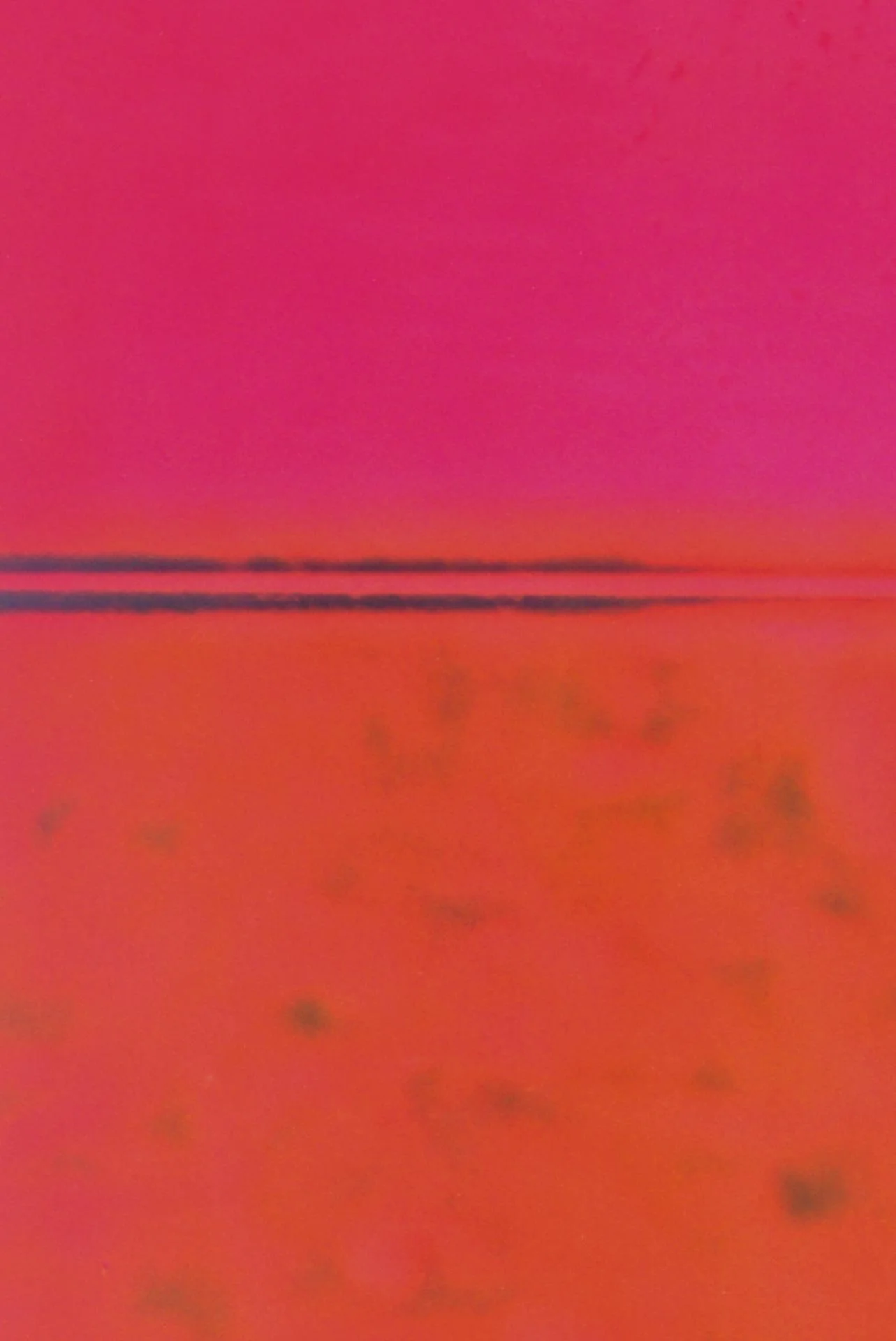 2_2_JC_80X120_tt014.jpg