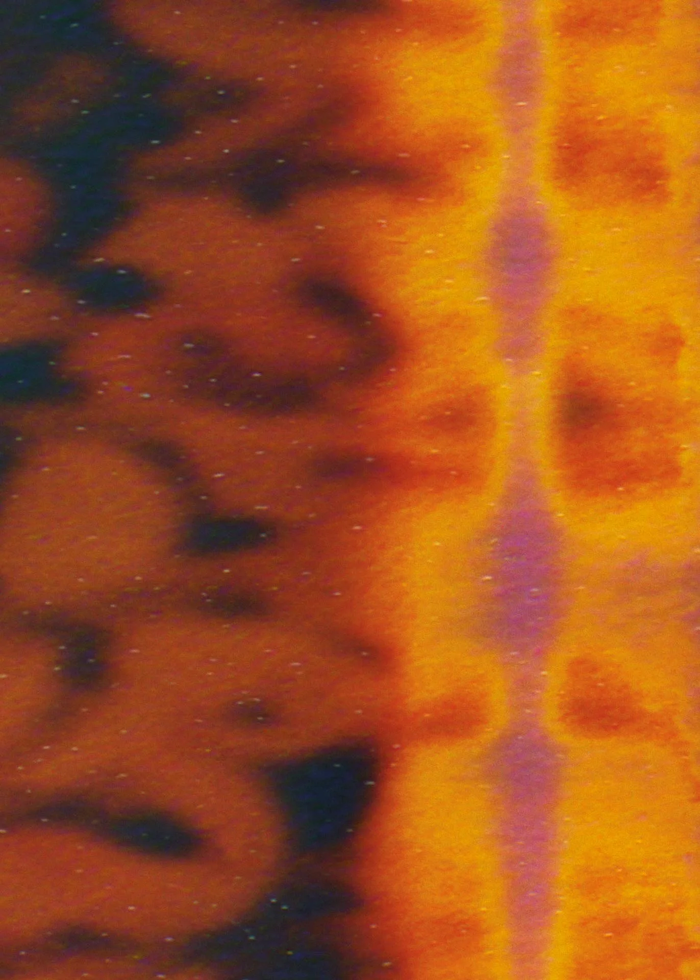 2_5_JC_15X21_T005.jpg
