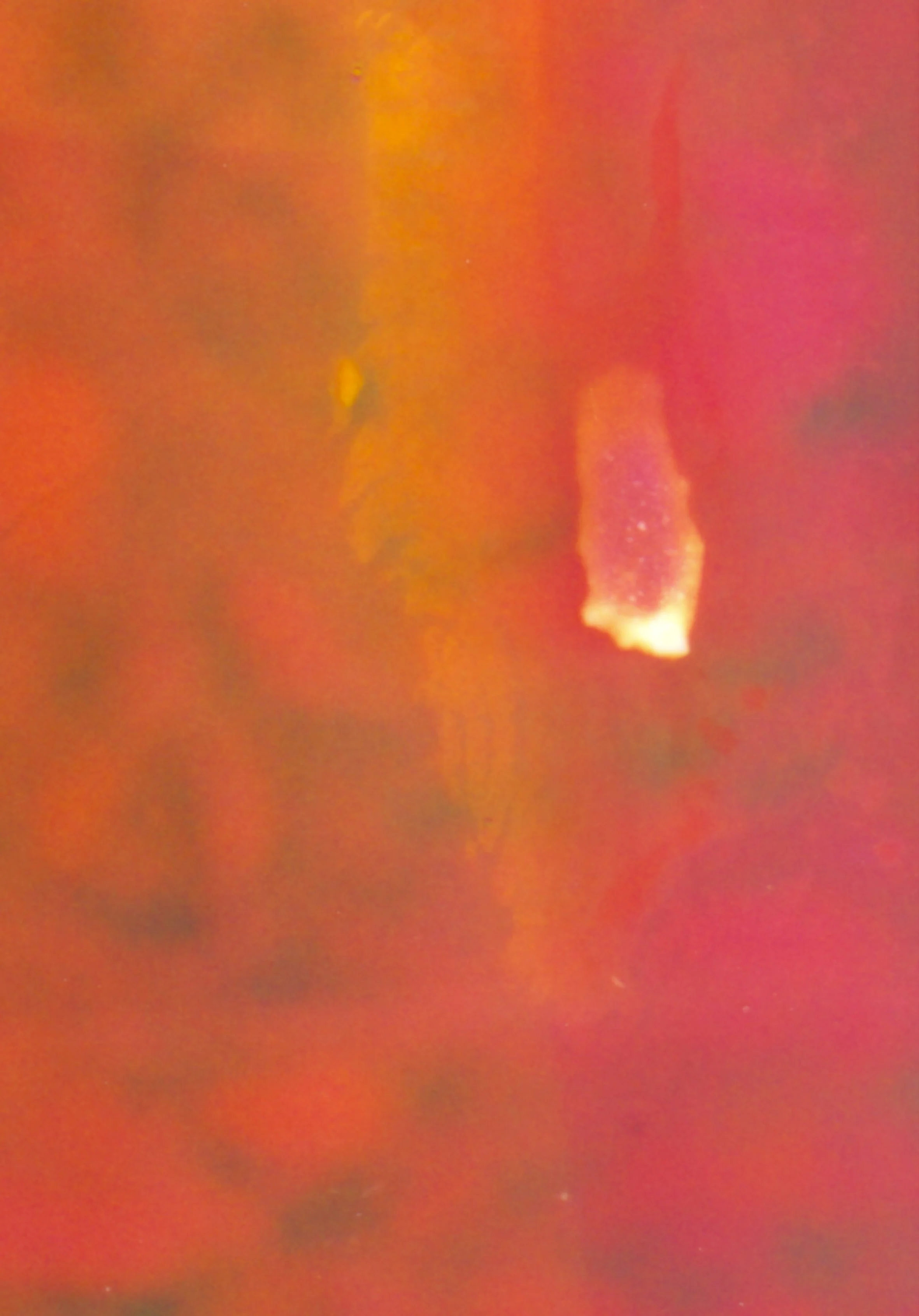 p8_2_juliecalbert_rvb_300dpi.jpg