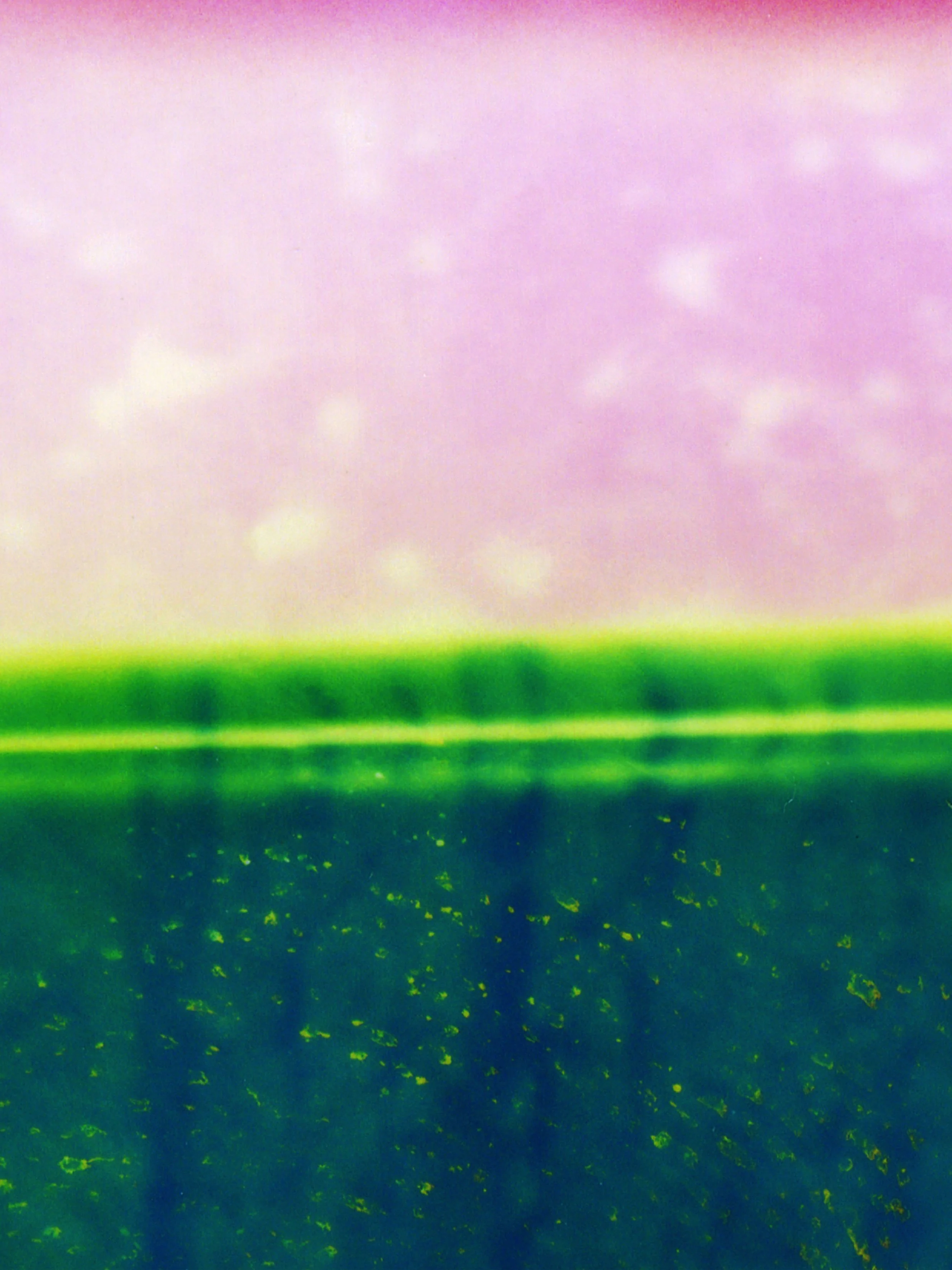 p7_juliecalbert_rvb_300dpi.jpg