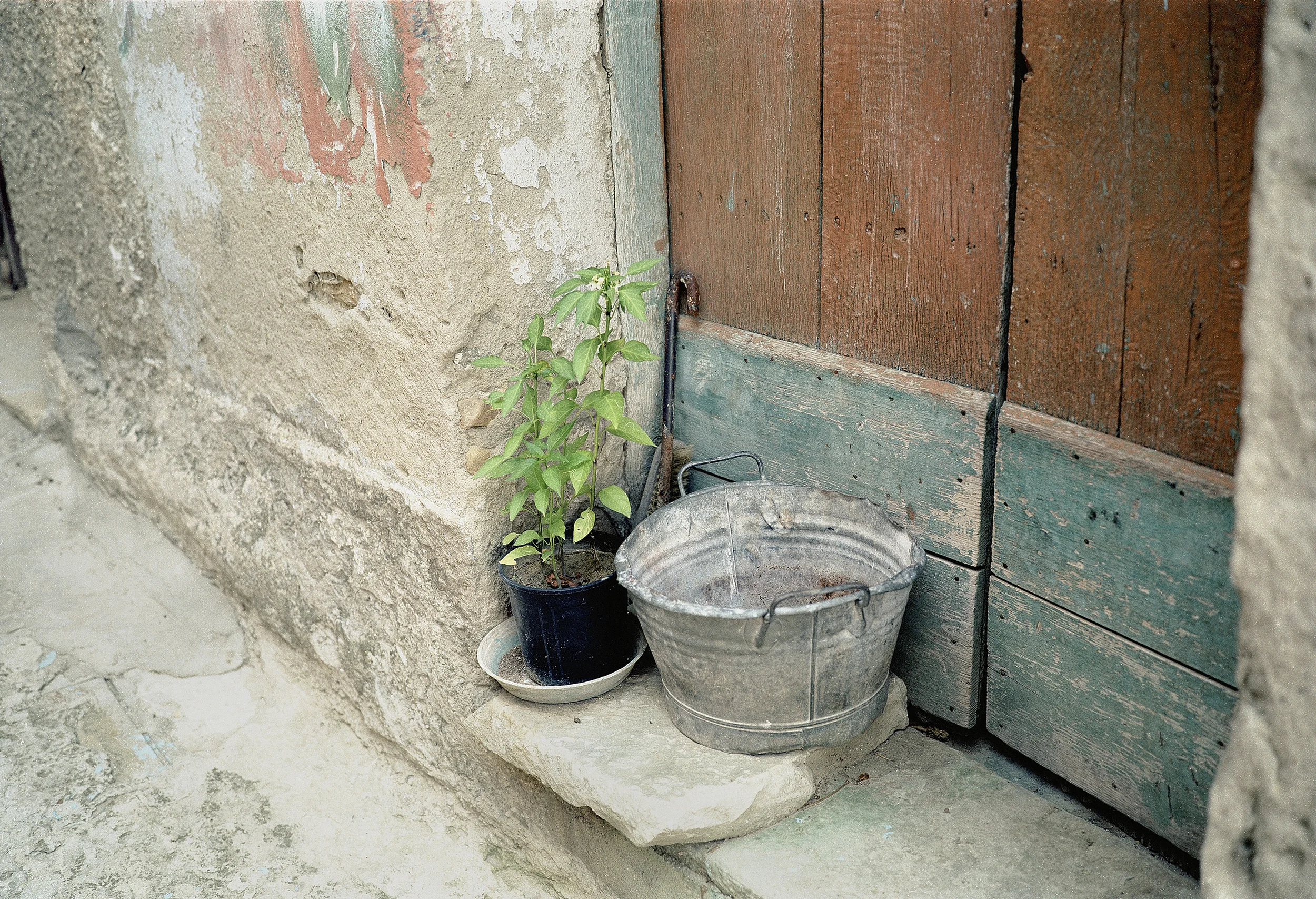 6) Untitled, 2002.jpg