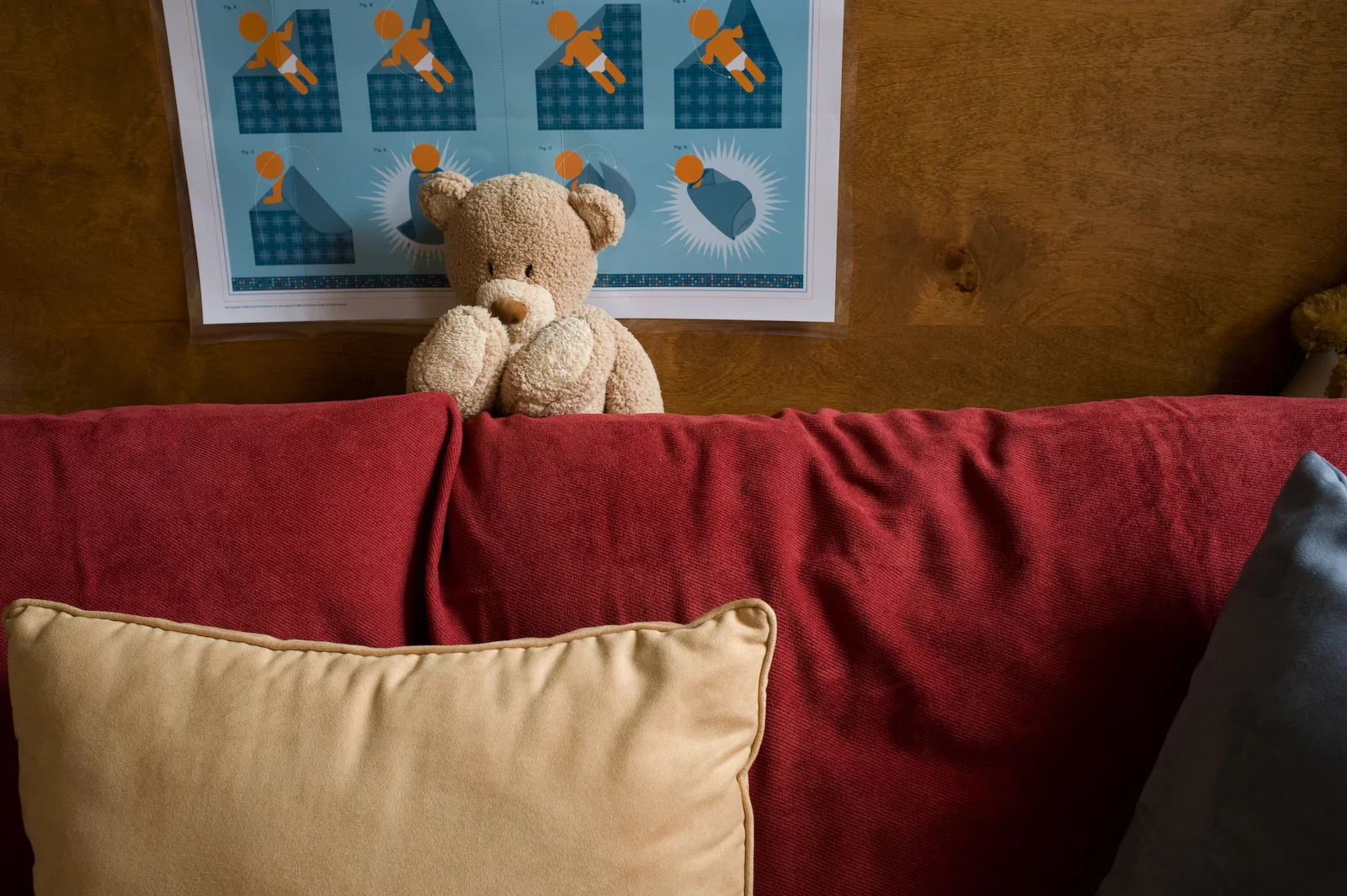 8. 20090309_00010-221.jpg