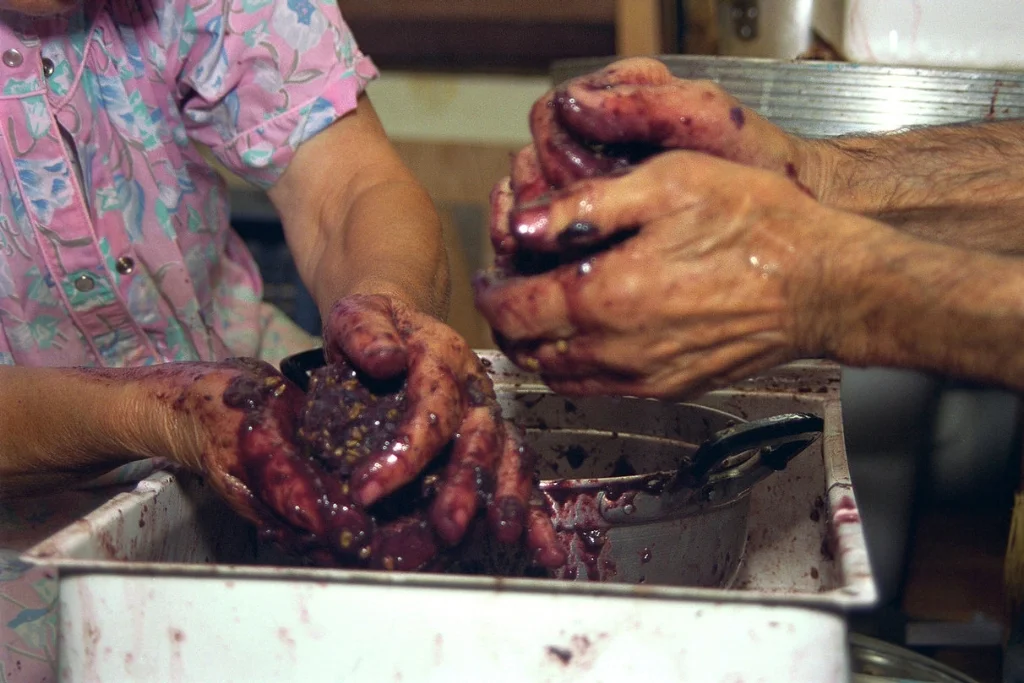 Making Vino, Yonkers