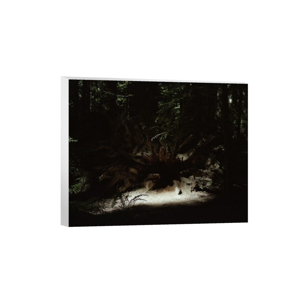 ptq_7_6_424_0_5105_4084_0_false_ffffff_0_0_.png