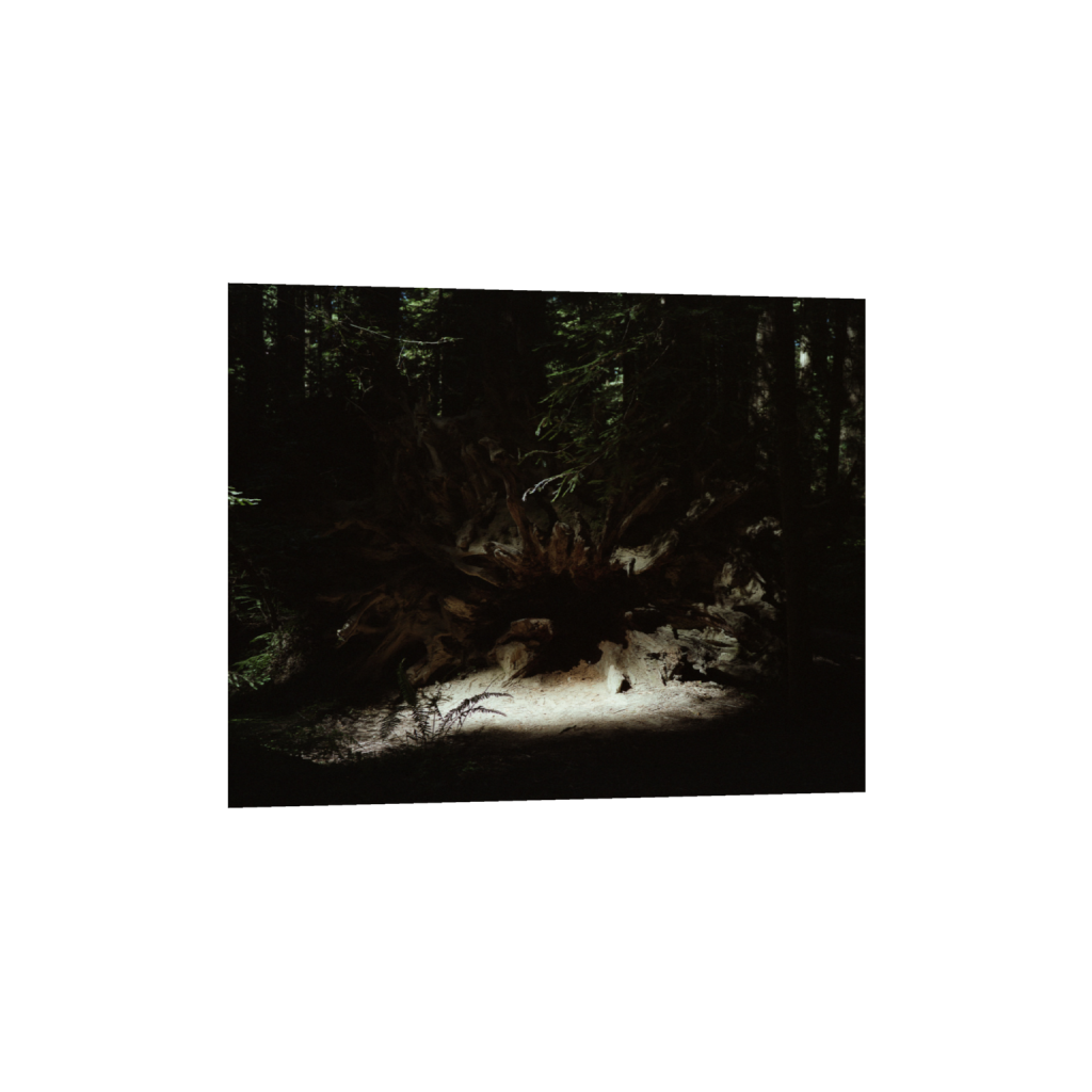 ptq_1_6_424_0_5105_4084_0_false_ffffff_0_0_.png