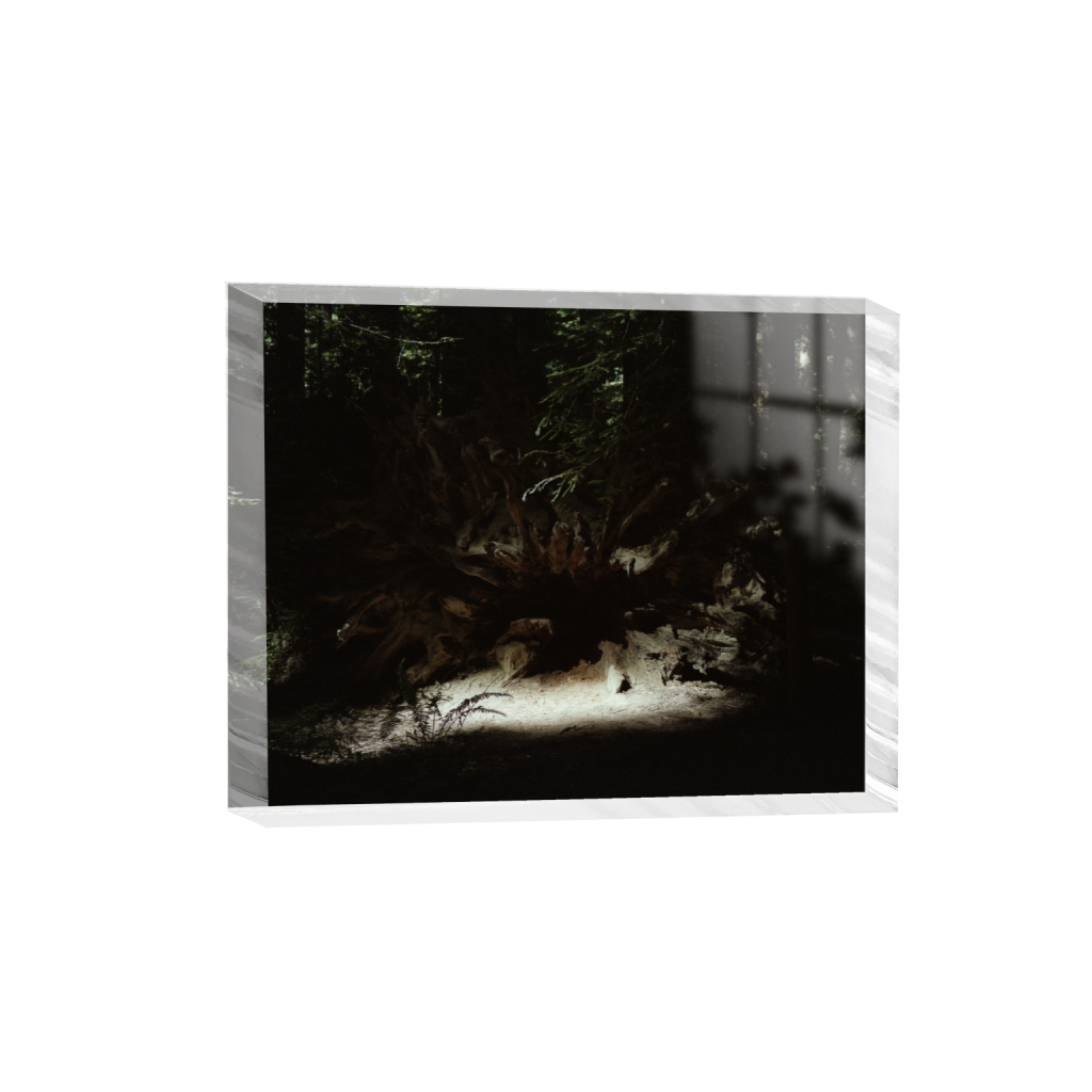 ptq_300_6_424_0_5105_4084_0_false_ffffff_0_0_.png