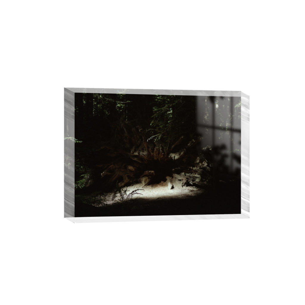 ptq_300_7_117_0_5717_4084_0_false_ffffff_0_0_.png