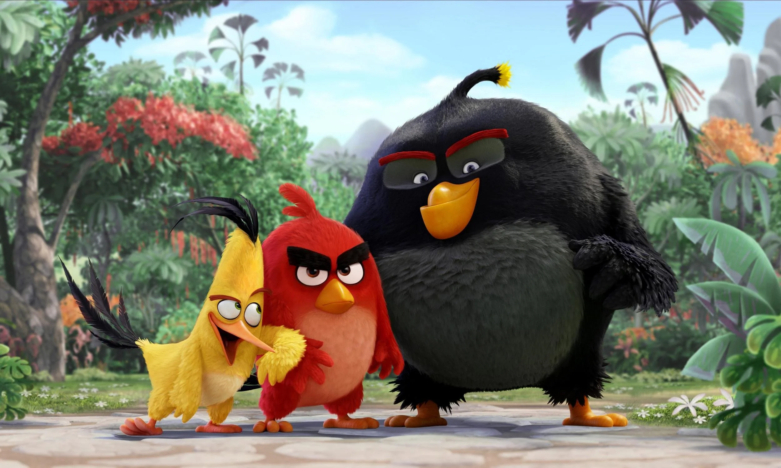 Los pájaros con problemas de mal genio llamado Red, el veloz Chuck y el volátil Bomb nunca han terminado de encajar en su isla de aves no voladoras. Ellos luchan por adaptarse en ese paraíso, pero se sienten marginados. Pero la llegada de los misteriosos cerdos verdes a la isla va a generar problemas. Cuando el rey Pig y toda la piara malvada ha planeado una meticulosa estrategia para conseguir los huevos tan preciados de los pájaros, ellos tres serán los que descubran lo que la banda porcina estaba planeando. Juntos decidirán contraatacar con un arriesgado plan en el que tendrán que luchar y dar lo mejor de sus increíbles capacidades para salir victoriosos.
