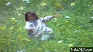 Prairie Girl.gif