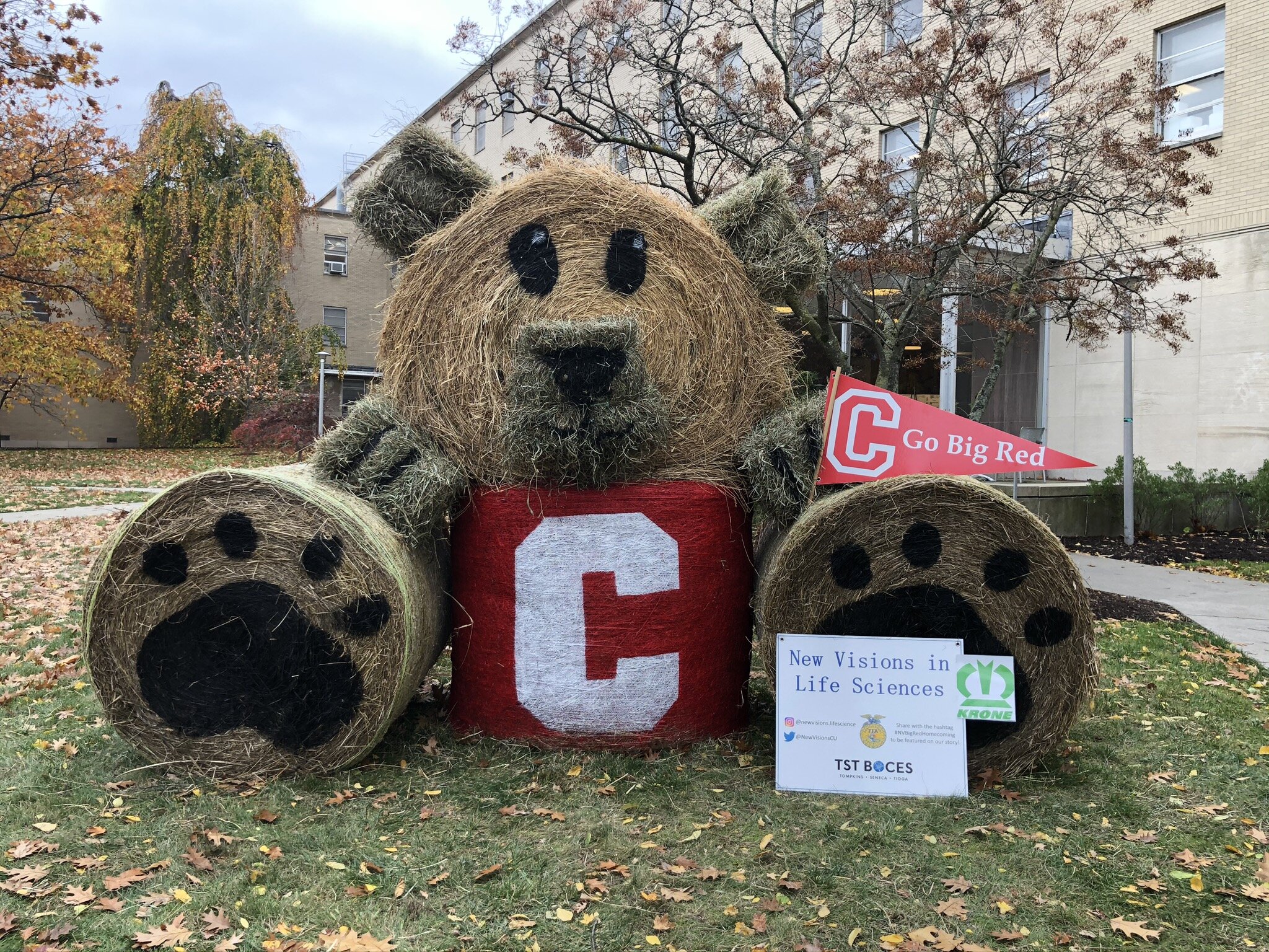 Bales Battles 2019_cornell.jpeg