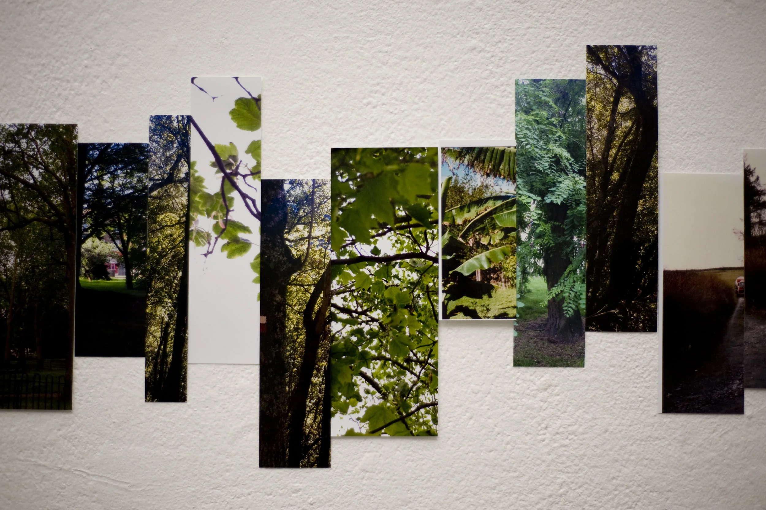 Streets of Trees 40.jpg