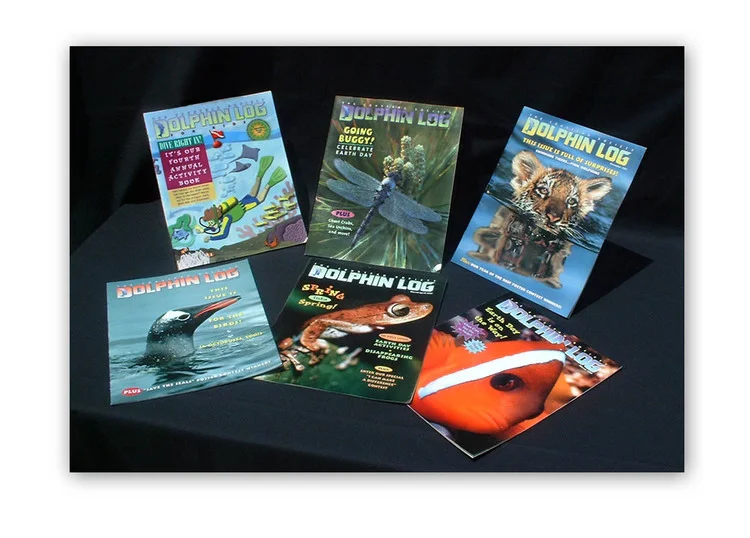 Dolphin Log - Before Rebranding