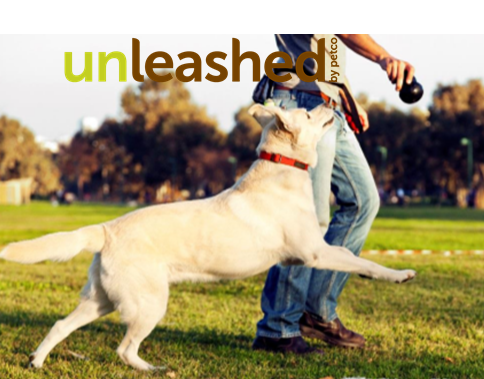 Unleashed by Petco.png