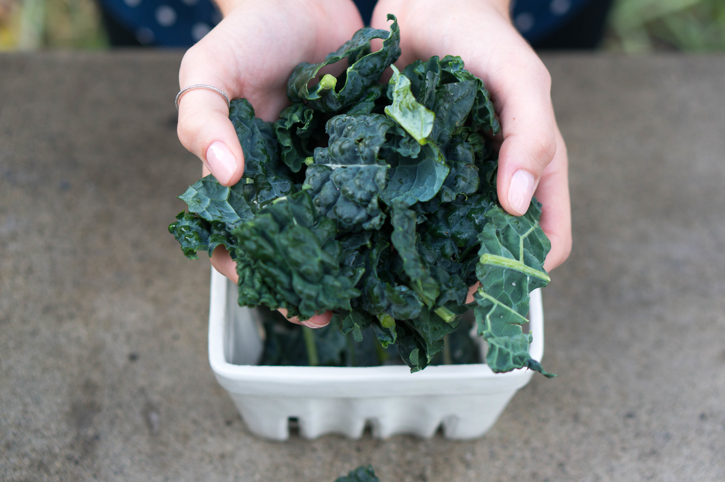 Nourish - food-37.jpg