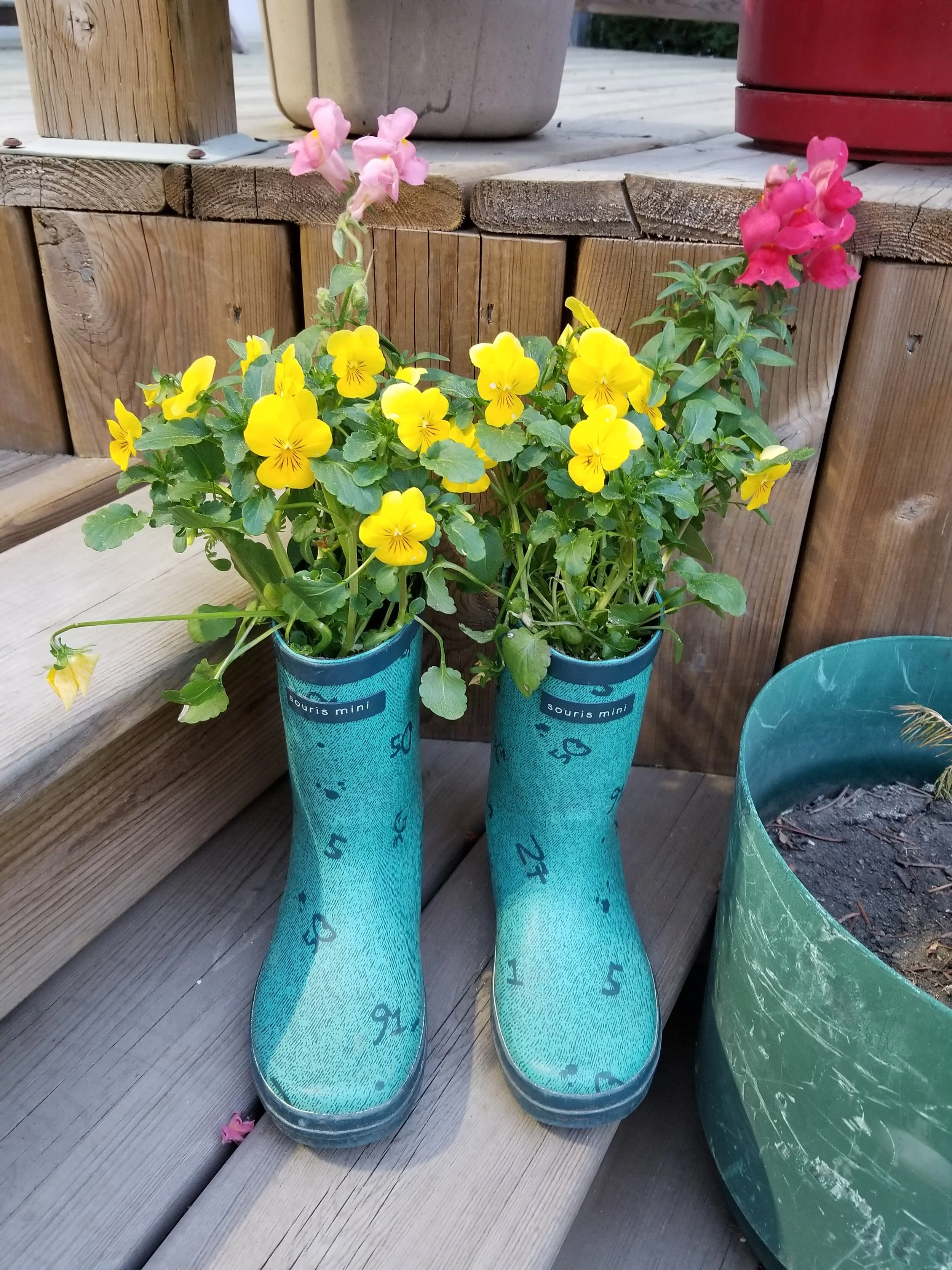 What all do you get up to when you're not busy with technology? I've been loving outside time in the garden, dance class, yoga, walks in the ravine and visits with friends and family!