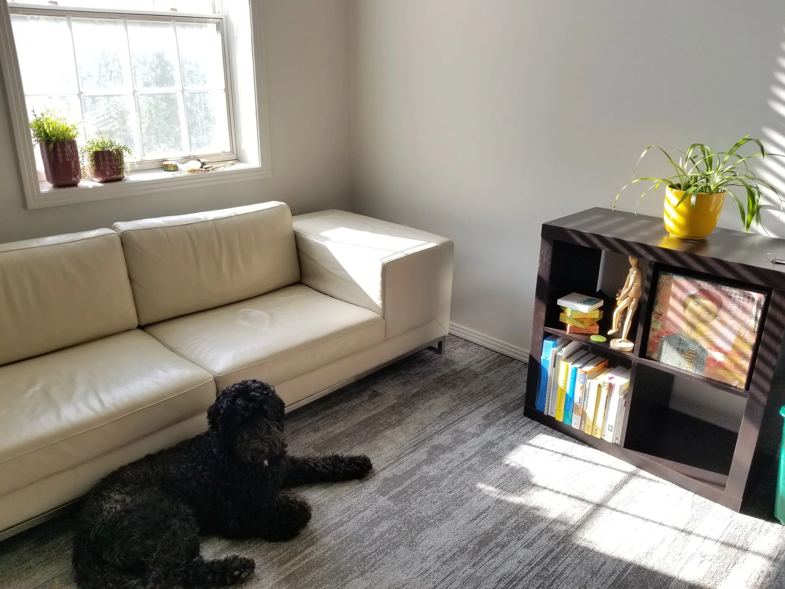 Nibby’s first visit to the new office… hopefully you’ll be as cozy as she was!