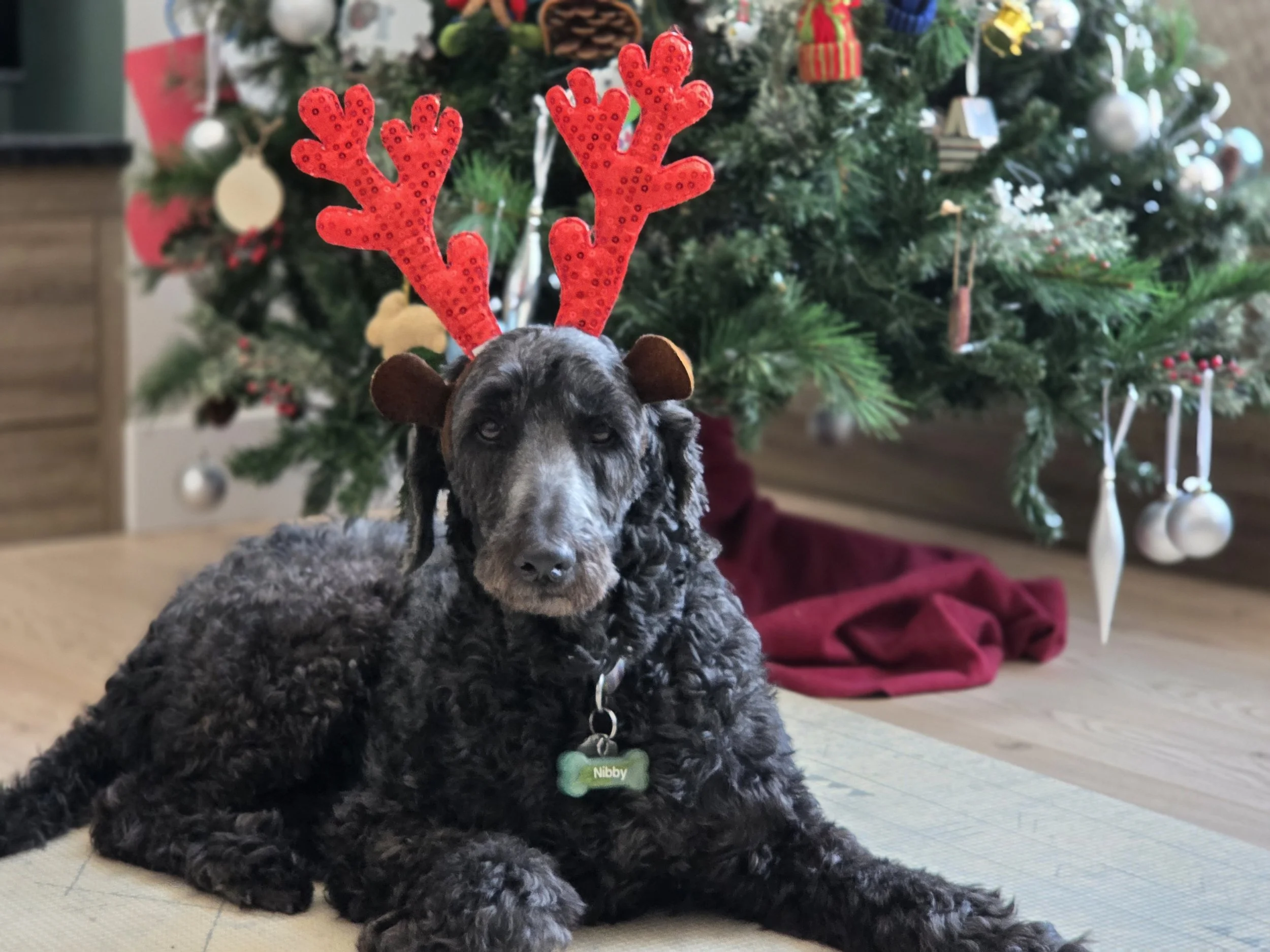 Cancellation List, Holiday Closure &amp; Fee Changes