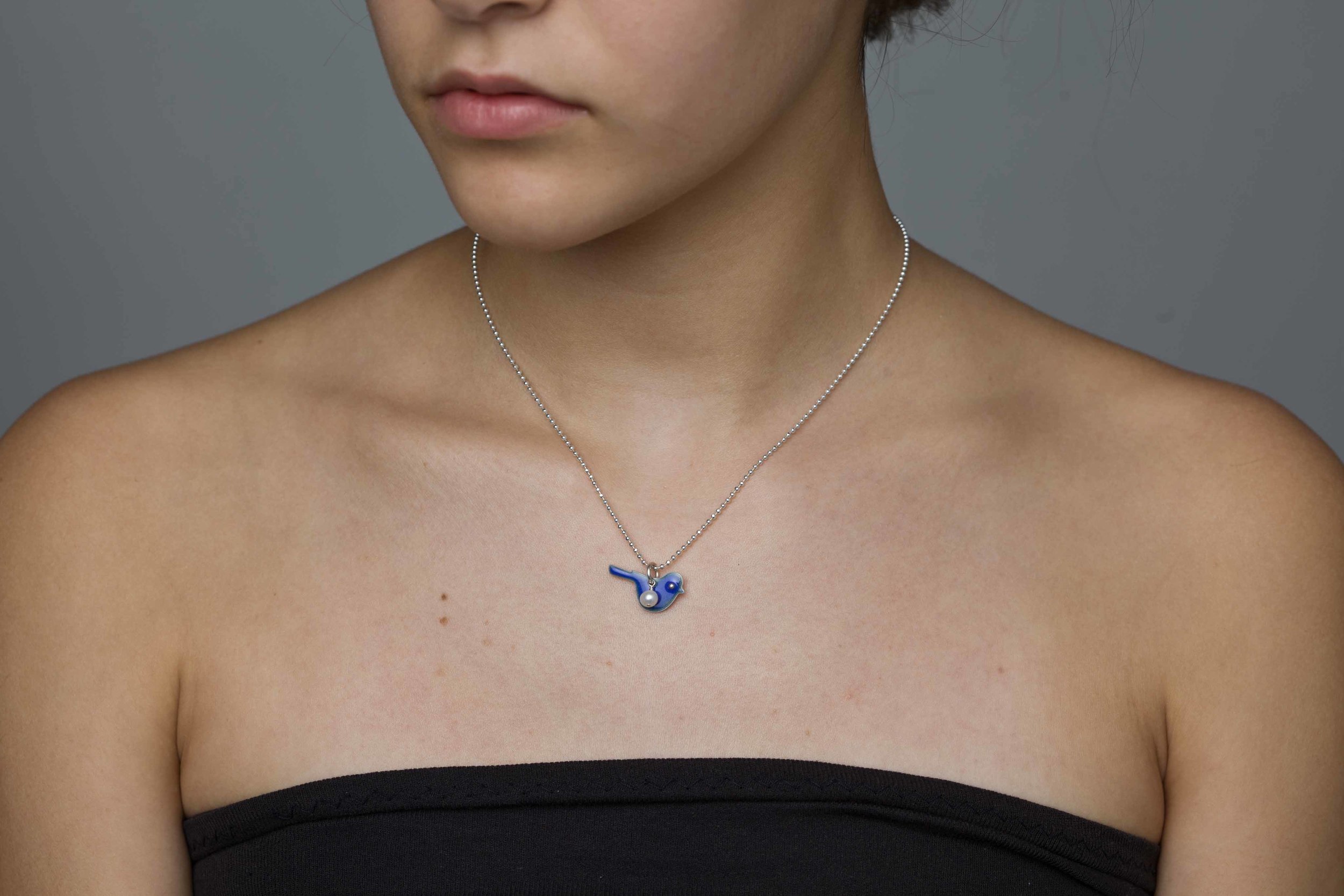 Sterling Silver and Enamel Necklace