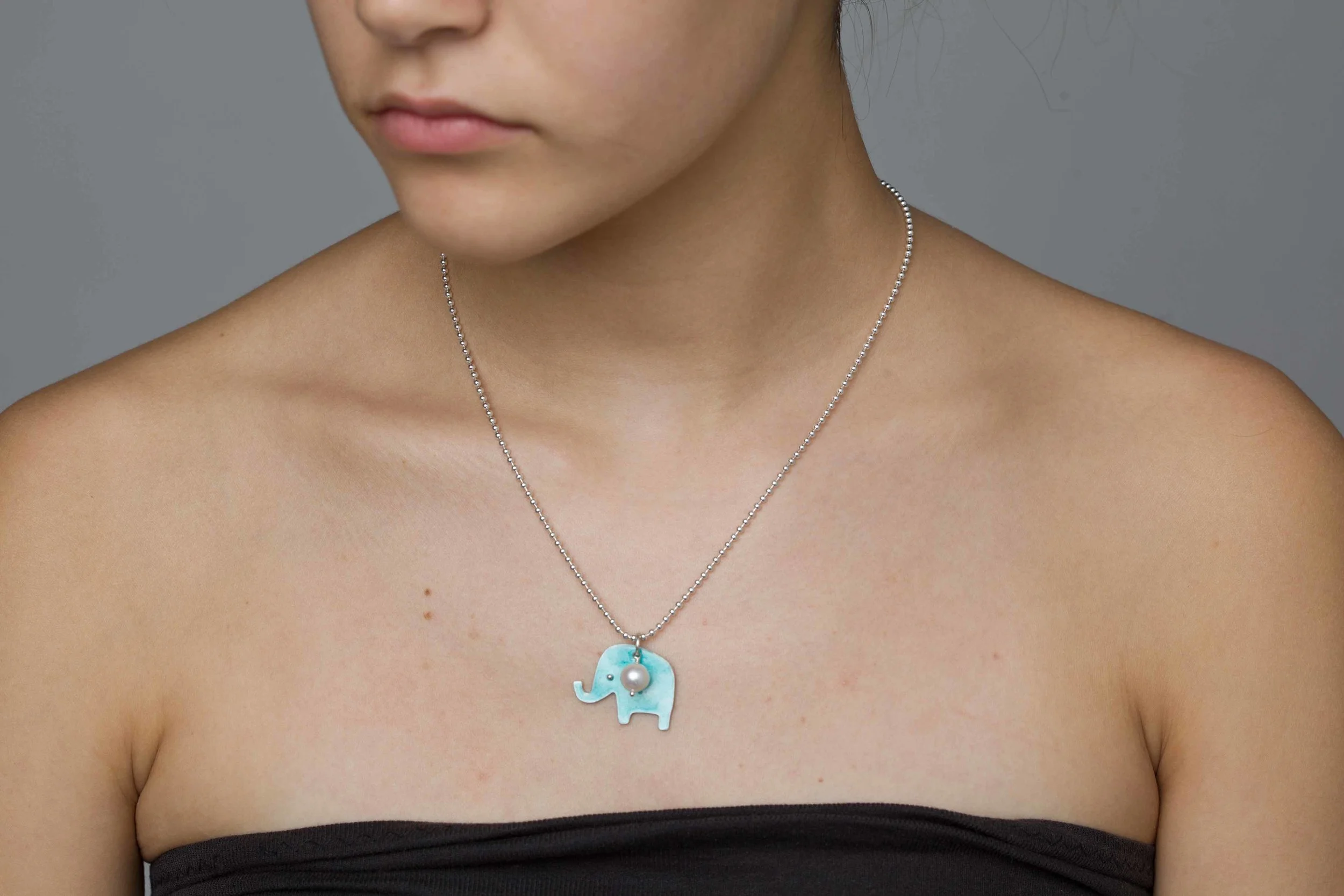 Sterling Silver and Enamel Necklace