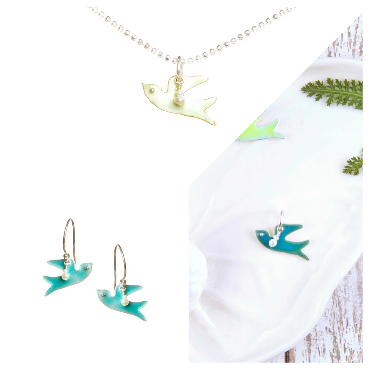 Bird of the Month Deal 