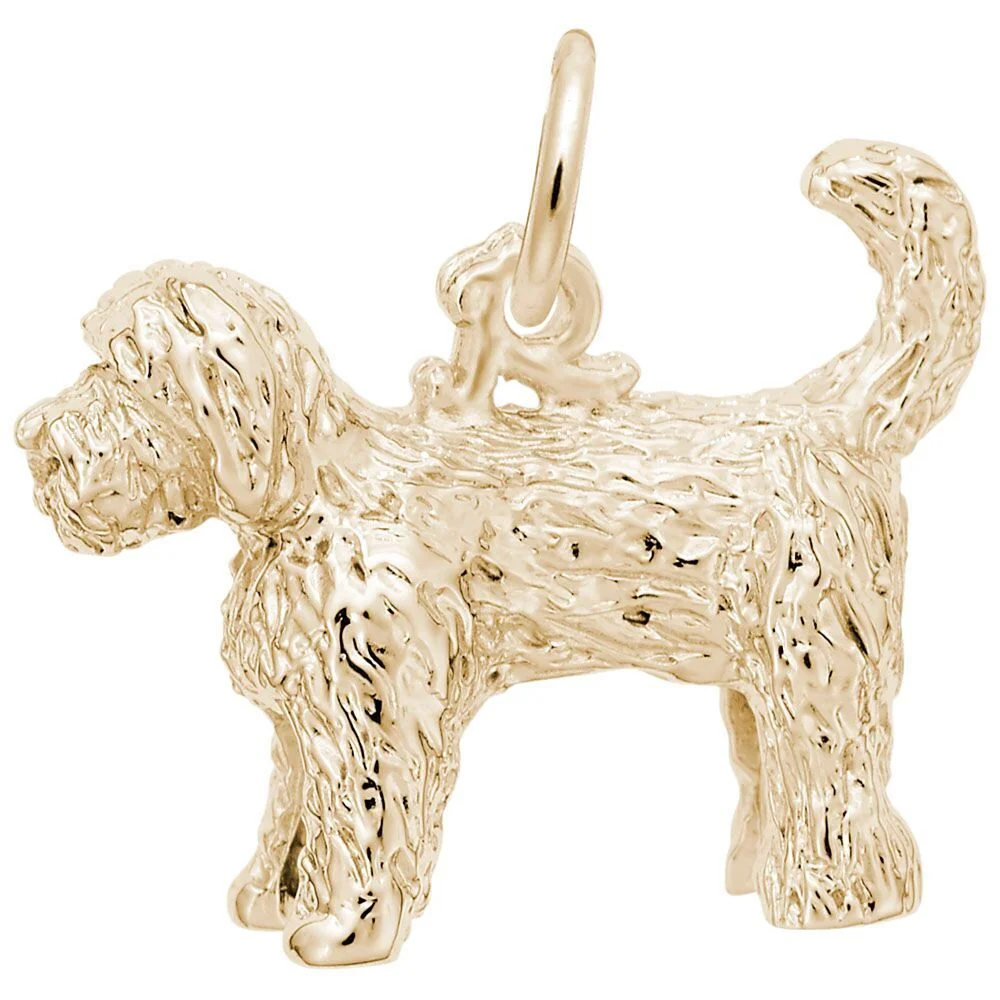 1694-Gold-Labradoodle-RC_preview.jpeg