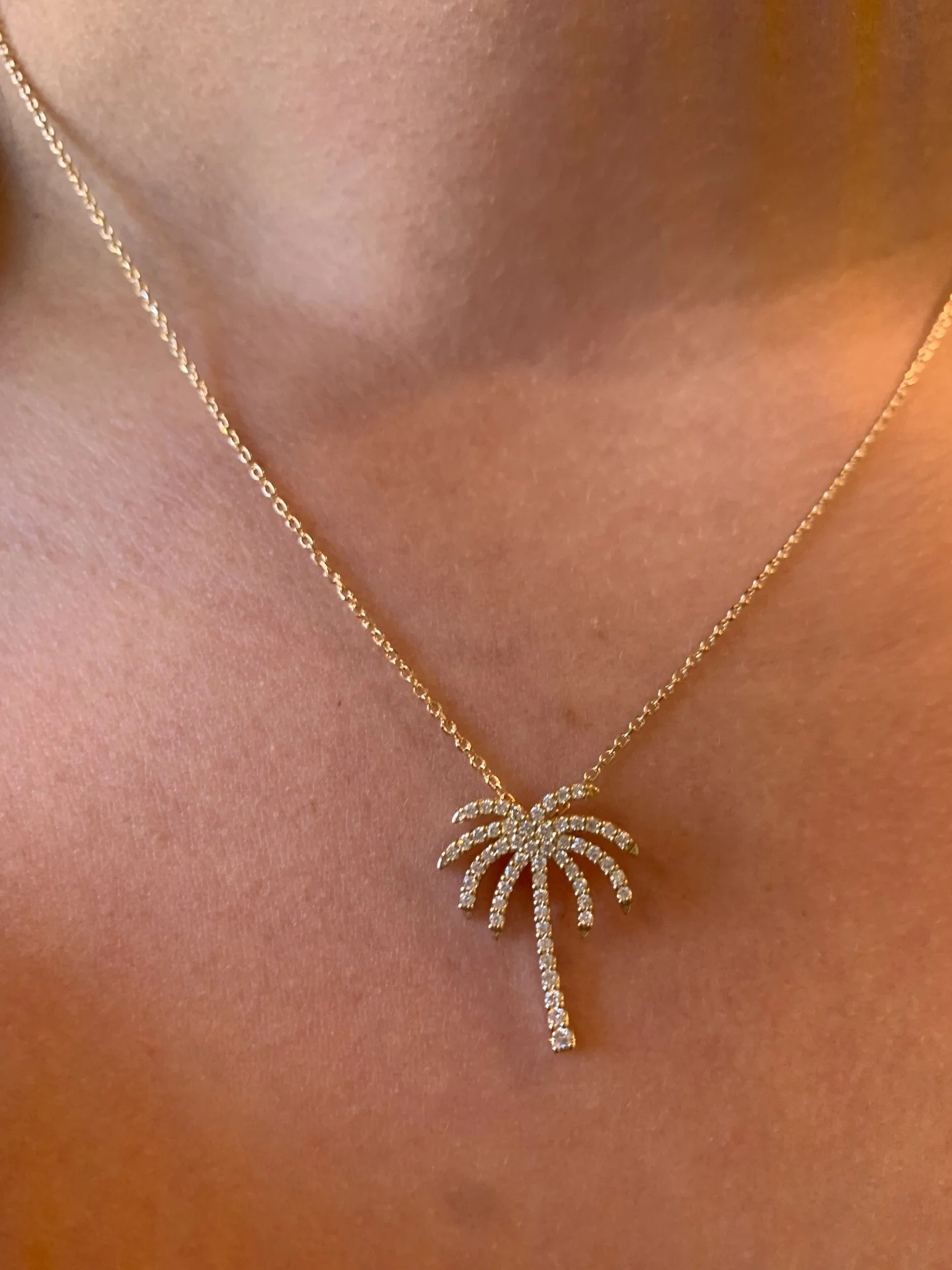 Diamond palm tree necklace 🌴

#diamondpalmtree #palmtreenecklace #beautifuljewelry