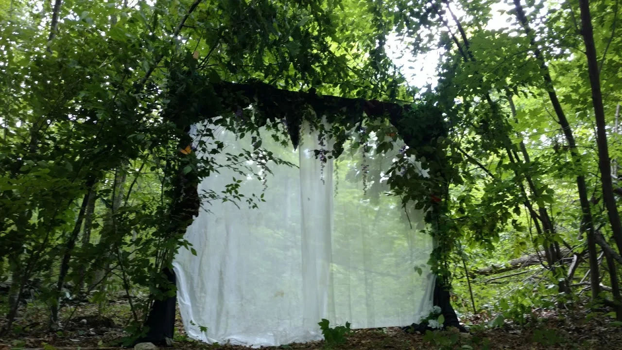 ForestPortal2.jpg