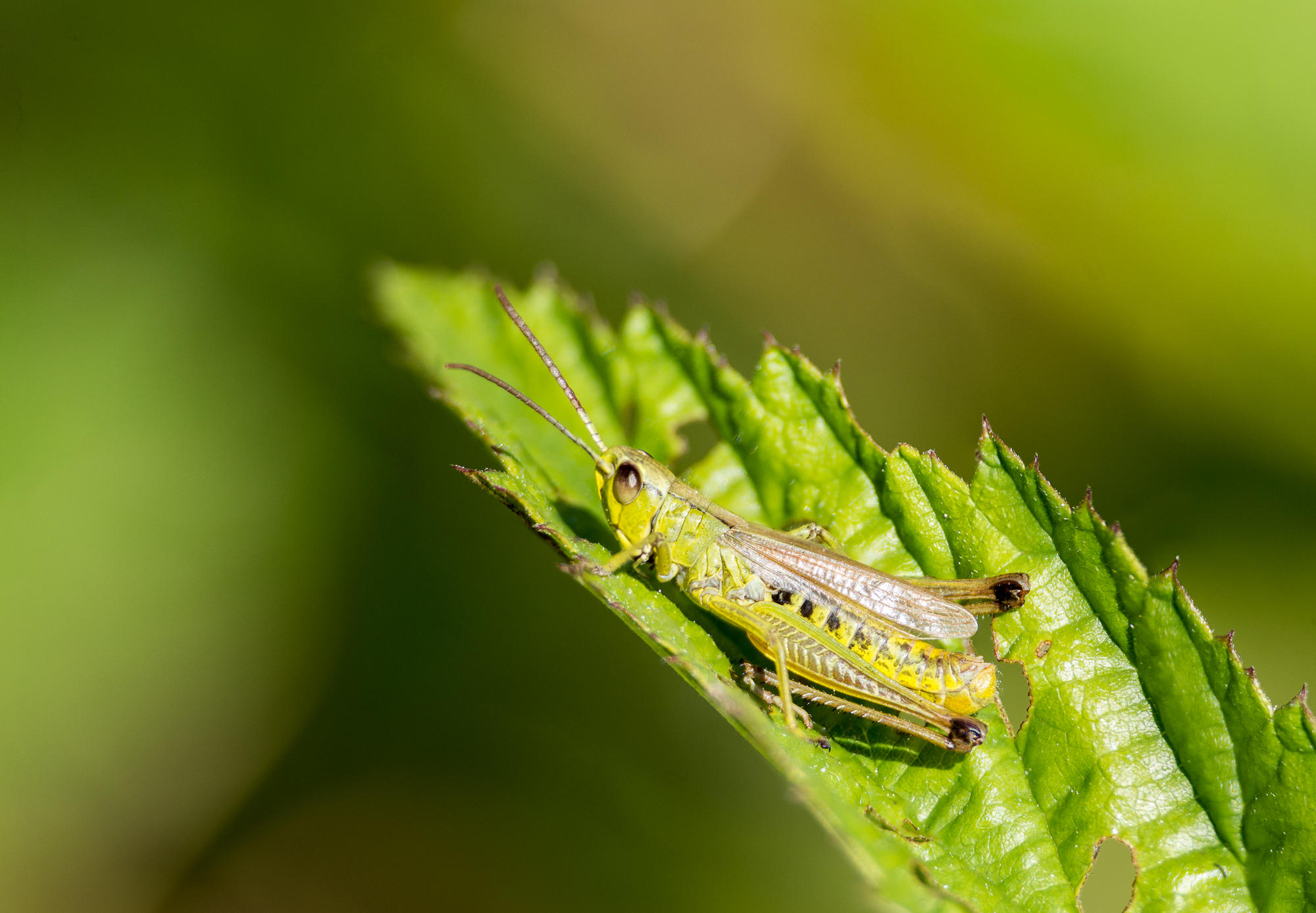 blog_DSC6083_59-2.jpg