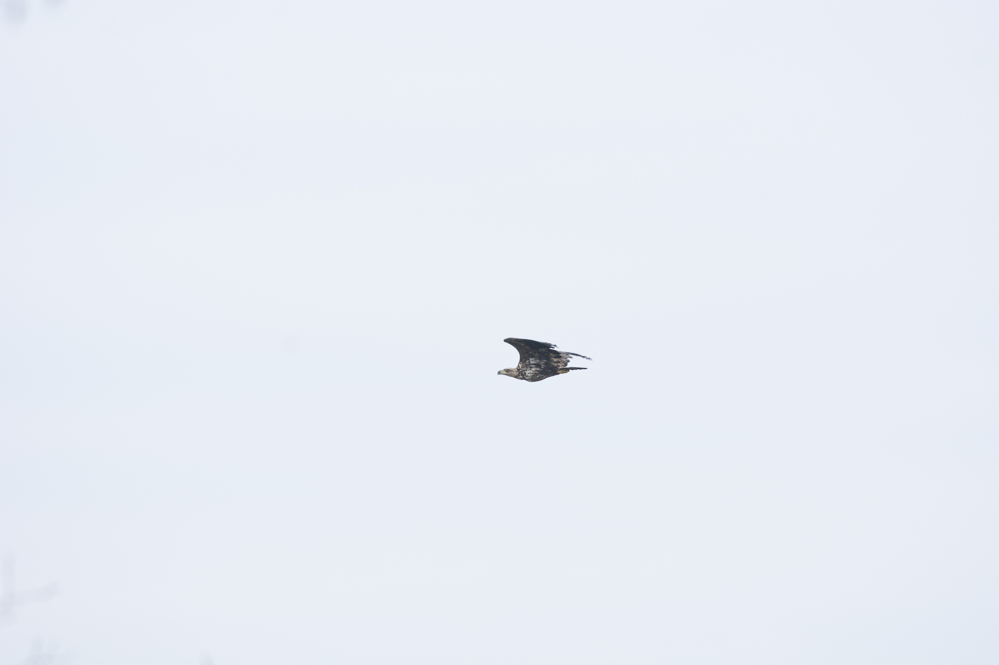 blog_DSC3555_46.jpg
