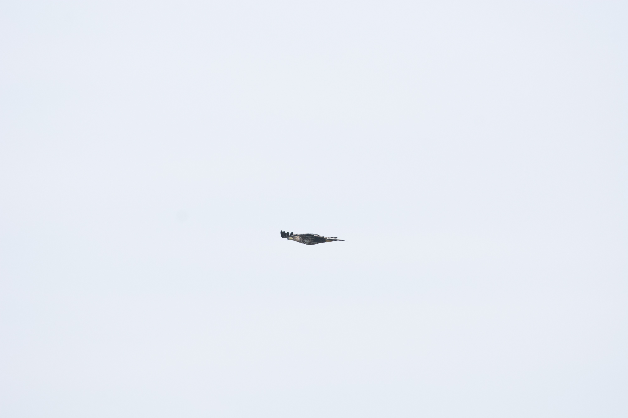 blog_DSC3554_46.jpg