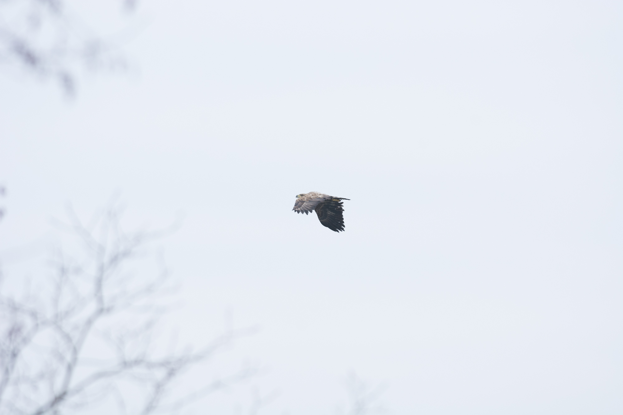 blog_DSC3556_46.jpg