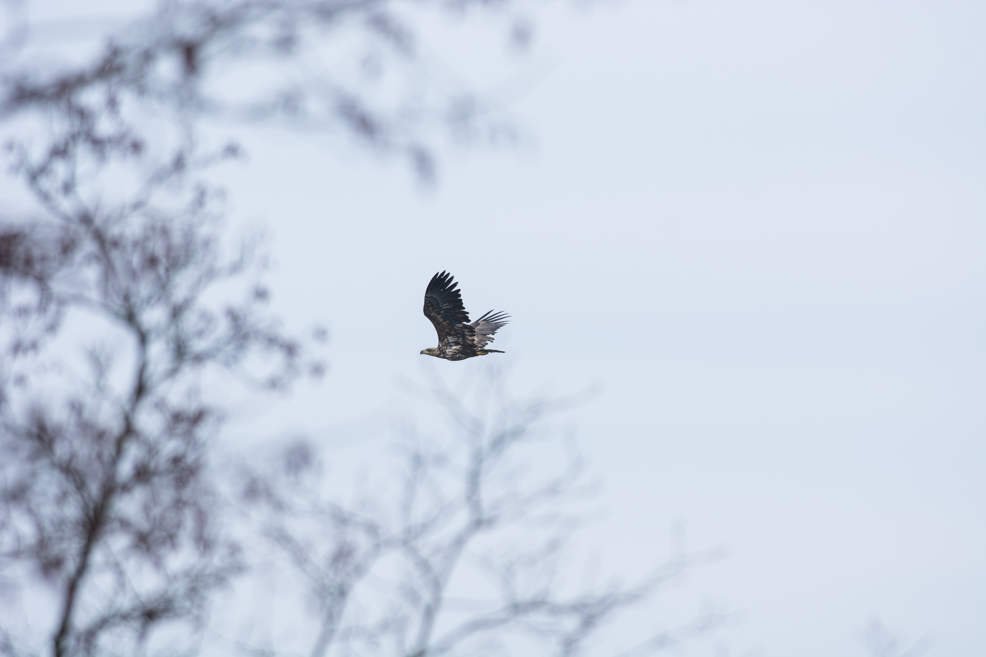 blog_DSC3557_46.jpg