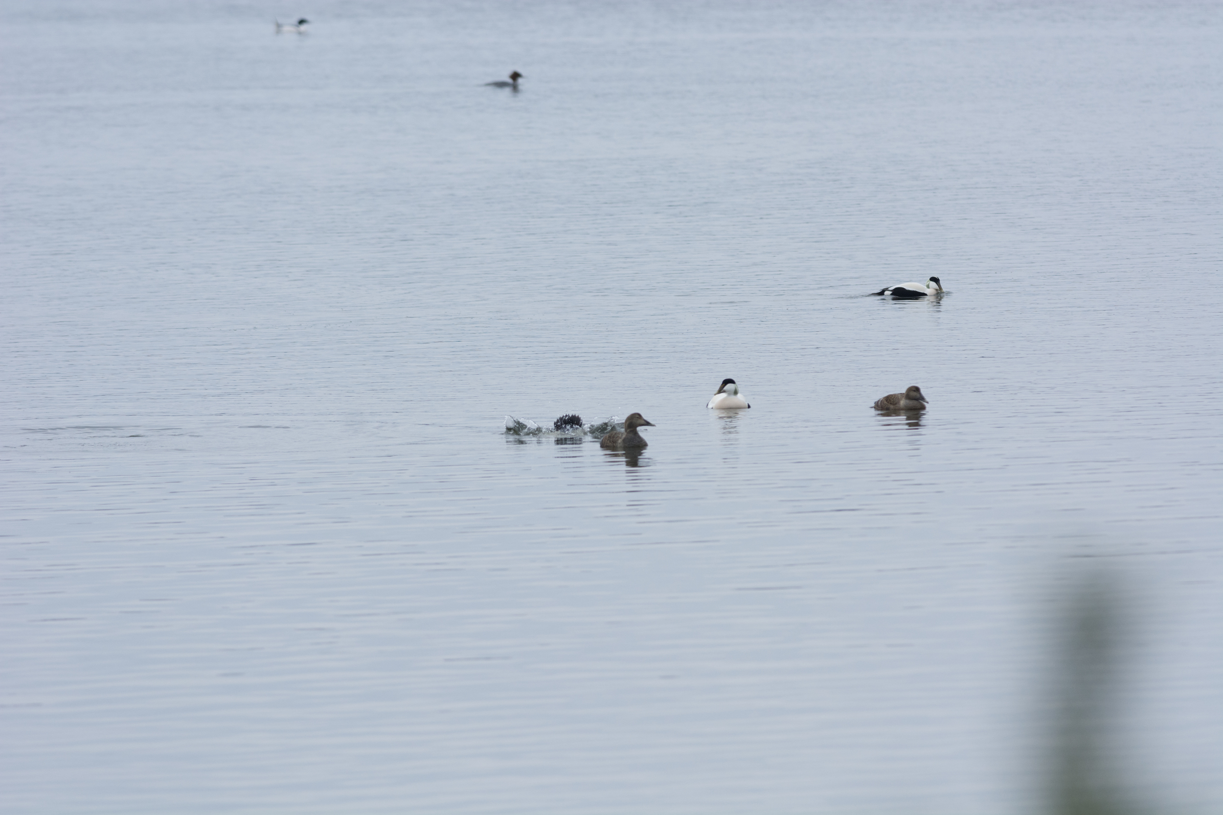 44-_DSC3899.jpg