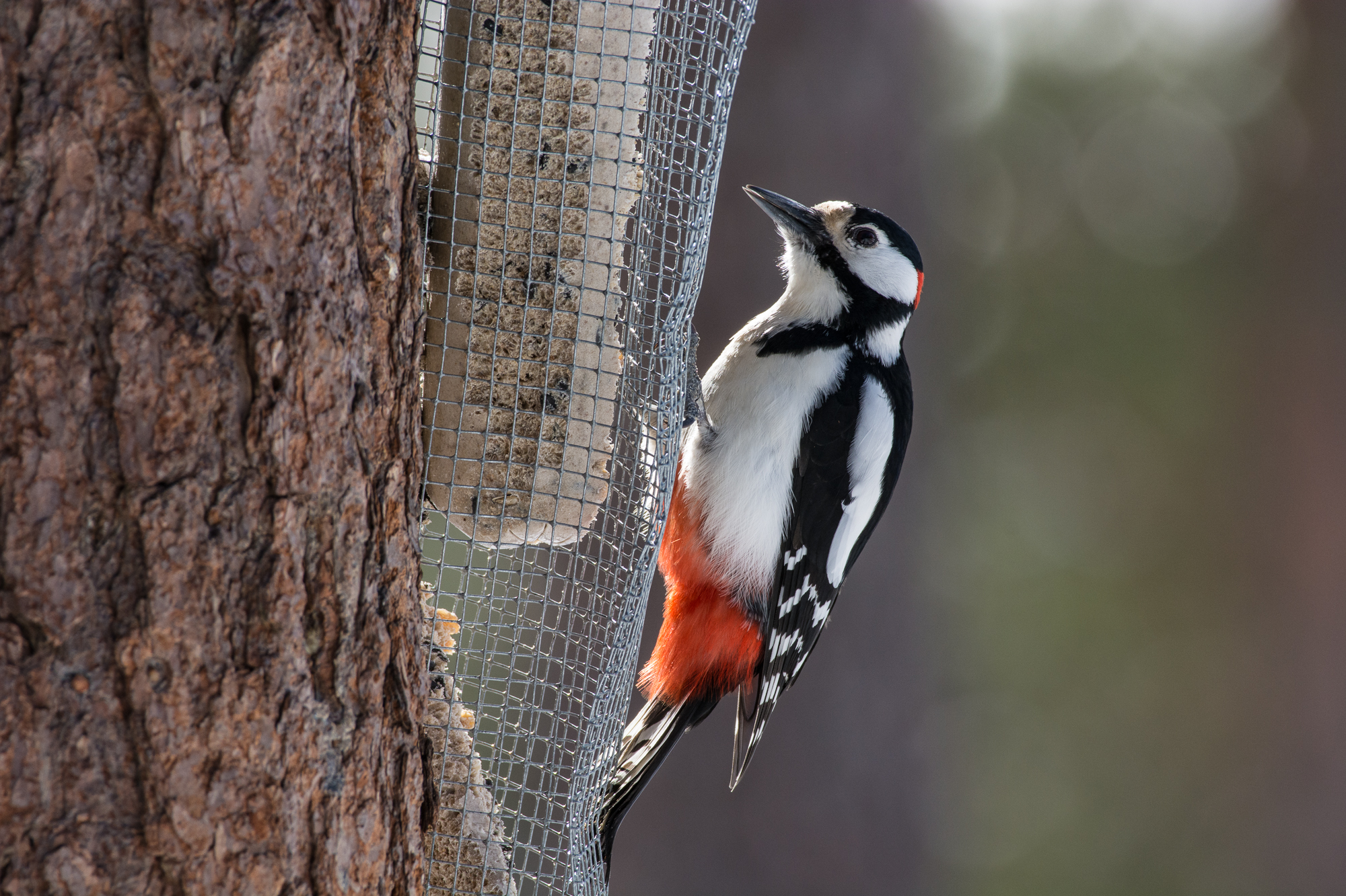 blog_DSC2901_01.jpg