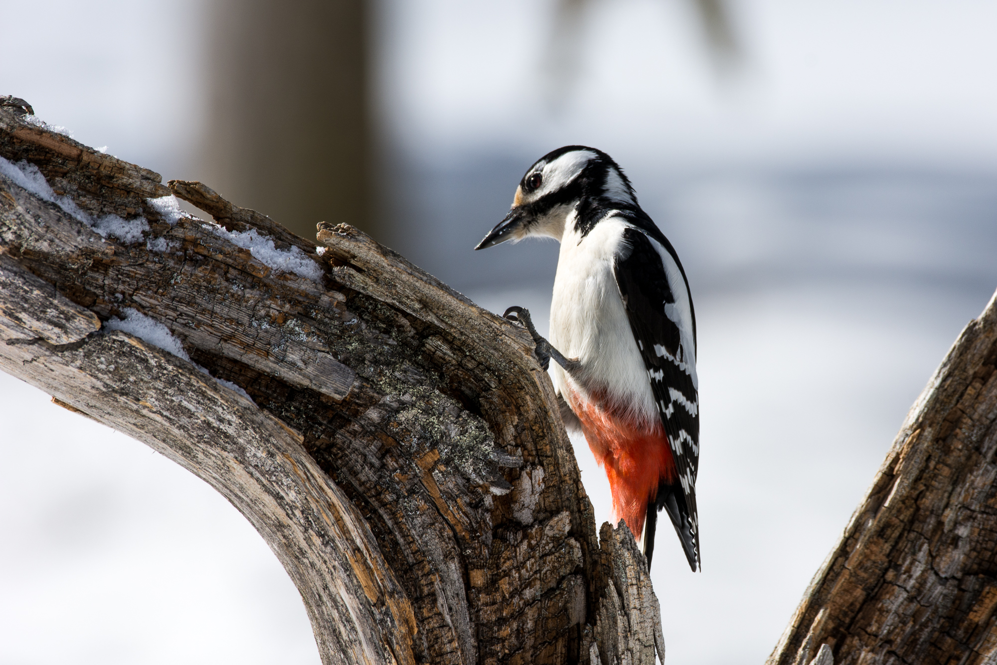 blog_DSC3245_12.jpg