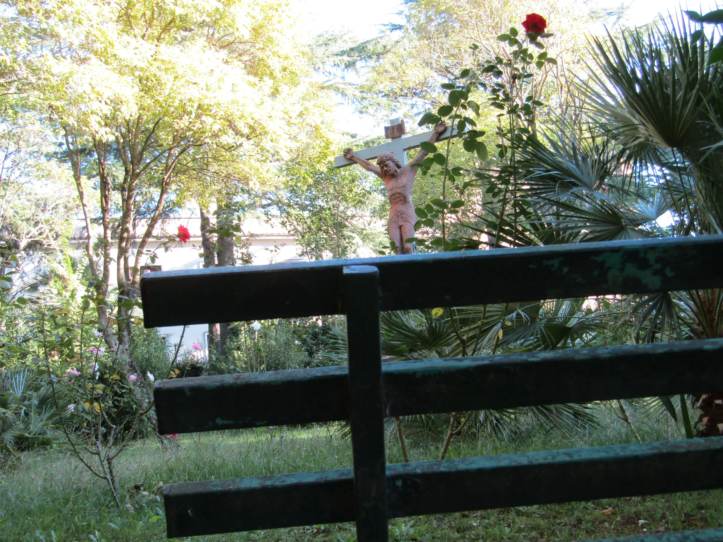 IMG_0203.JPG