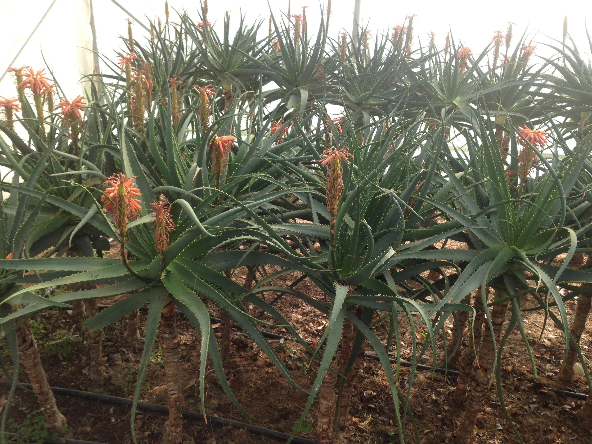 Weekend in MONASTERO - Osserva con occhi di uomo le meraviglie di Dio.