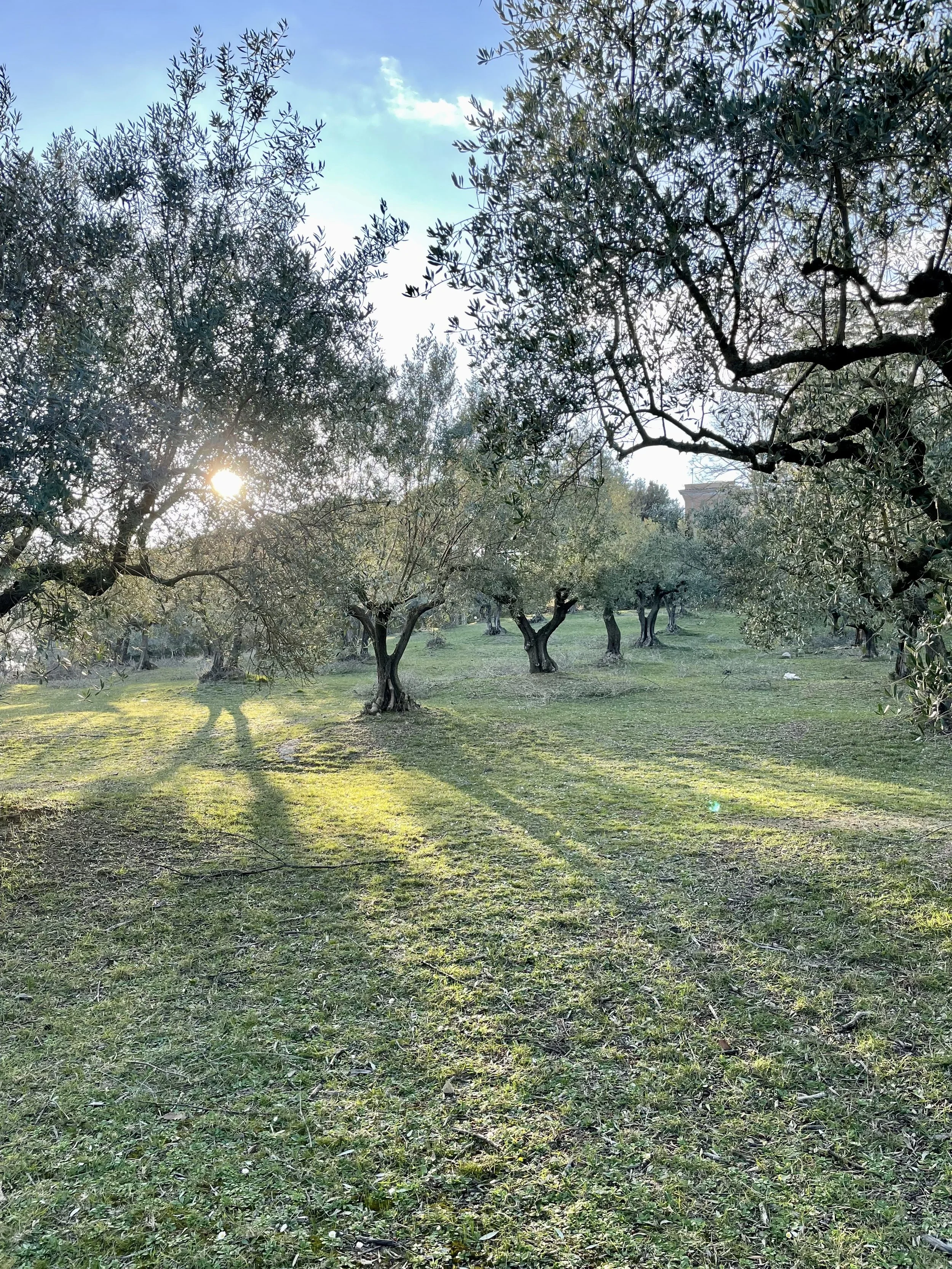 Riprende il lavoro il nostro negozio benedettino