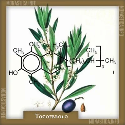 TOCOFEROLO QUADRO.jpg