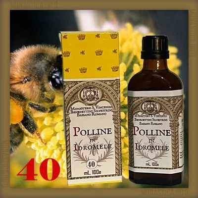 POLLINE FOTO.jpg