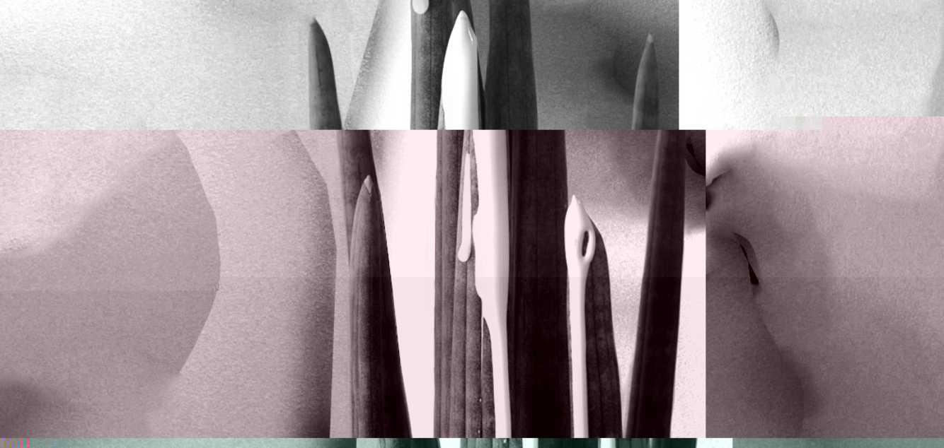 ELEKTRA ENSEMBLE & ERRATA COLLECTIVE 18.00 Kaldalón, Harpa