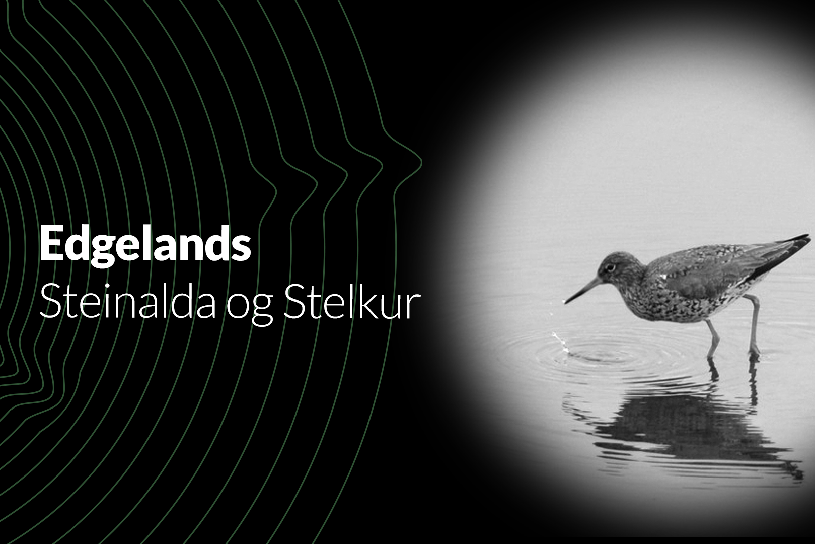 Edgelands / Steinalda &amp; Stelkur
