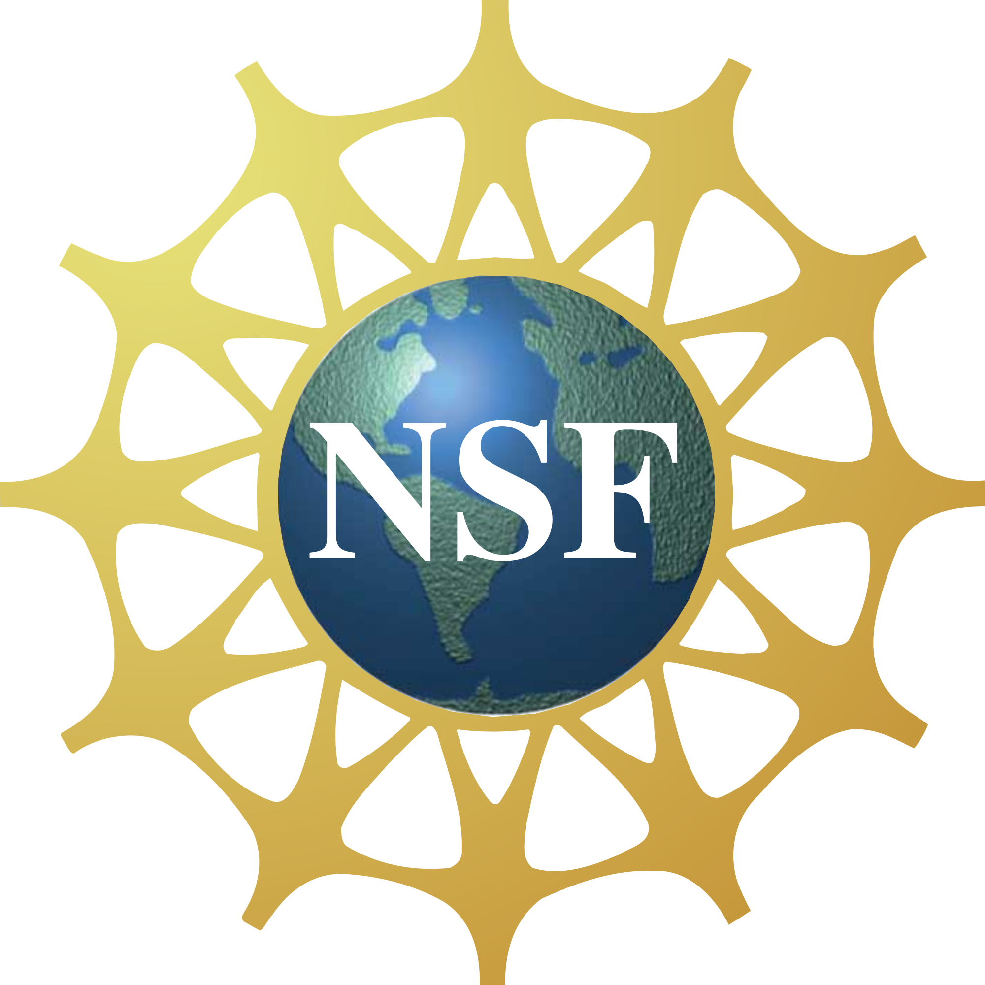 NSF.png