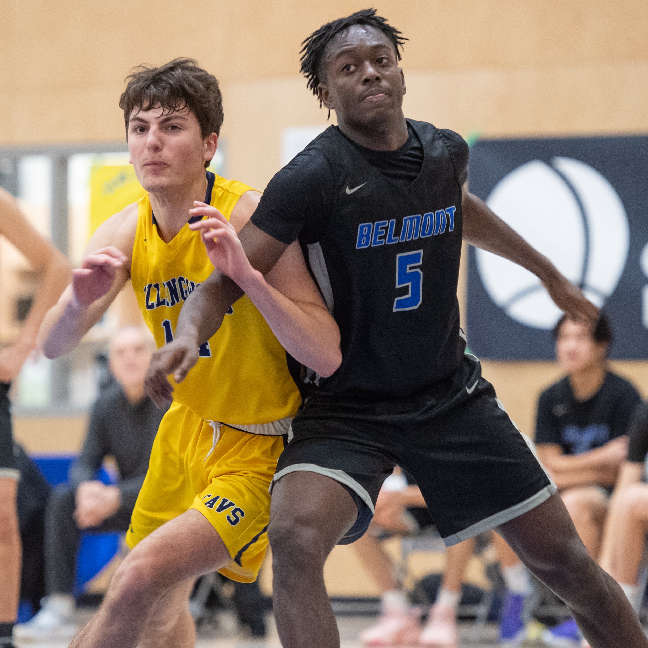 Collingwood Cavs Get Early Morning Win Against Island's Belmont Bulldogs