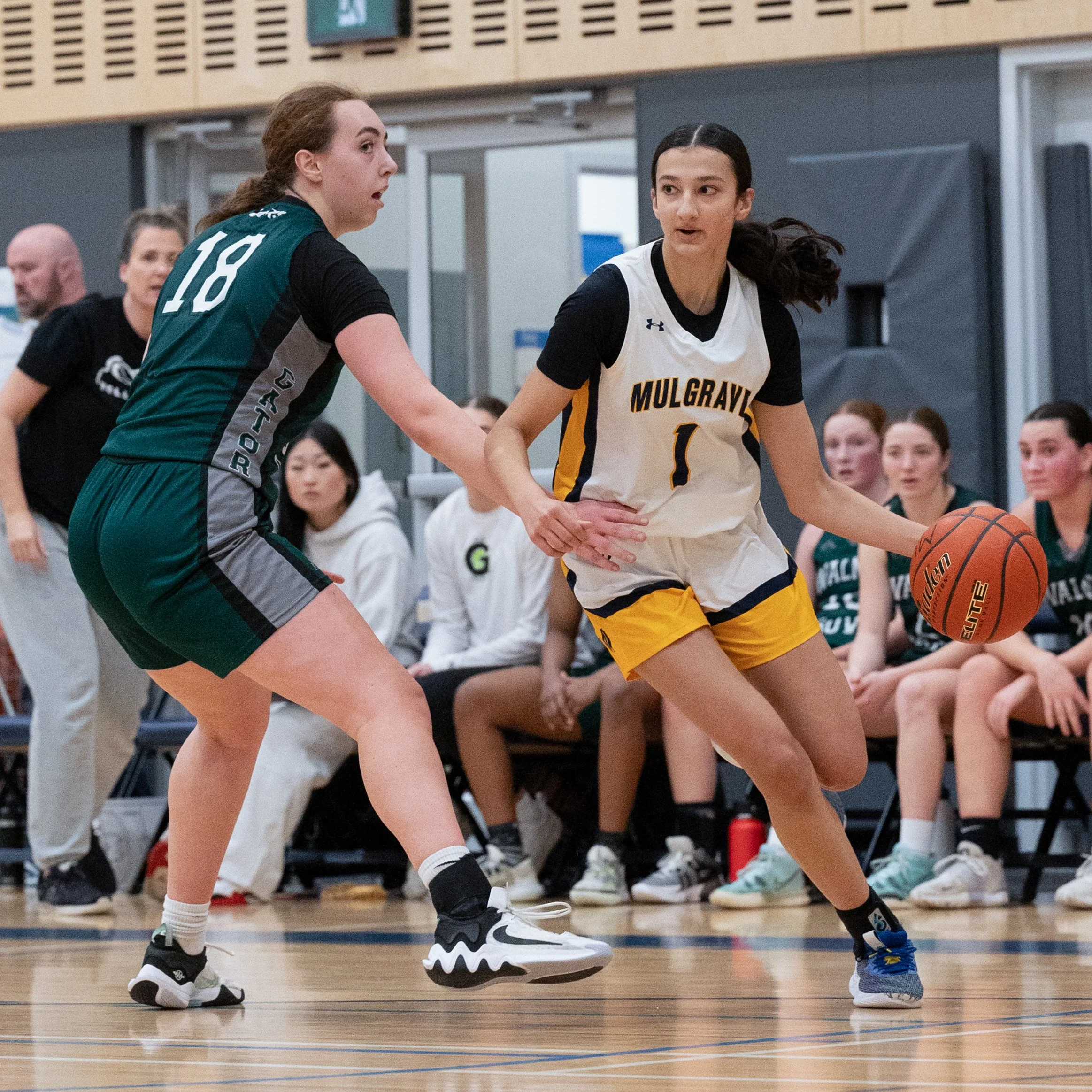 When It Rains it Pours - the Titans take down the Gators